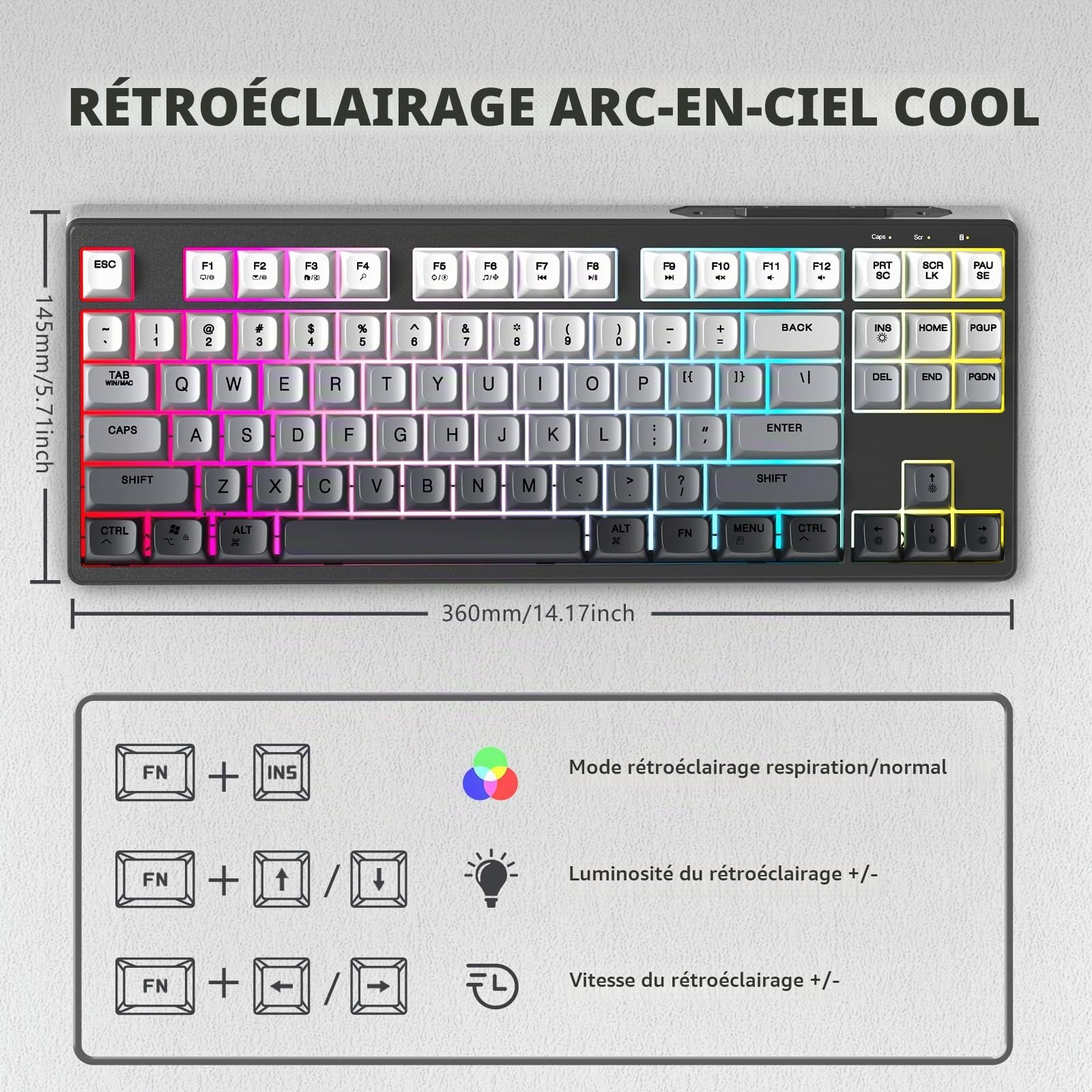 ATTACK SHARK X FREEWOLF M87 Clavier de Jeu à Membrane sans Fil 80%, TKL RVB, Sa PBT Keycaps, Clavier Bluetooth 5.0/2,4 Ghz Double Mode, QWERTY, 4000mAh, Mac/Win, Bureau/Jeu Silencieux – Dégradé Noir