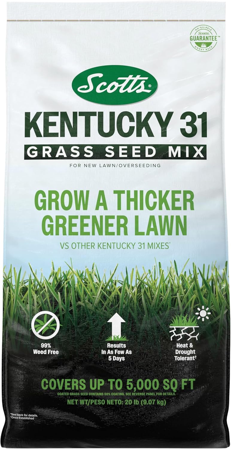 Scotts Kentucky 31 Grass Seed Mix: Thicker, Greener Tall Fescue Blend for New Lawns & Overseeding, Covers 5,000 sq ft