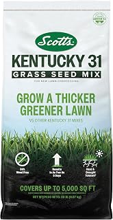 Scotts Kentucky 31 Grass Seed Mix: Thicker, Greener Tall Fescue Blend for New Lawns & Overseeding, Covers 5,000 sq ft