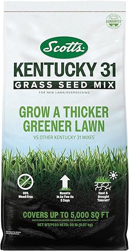 Scotts Mezcla de semillas de césped Kentucky 31 para césped nuevo o sobresiembra, crece más gruesa y verde en comparación con otras mezclas Kentucky