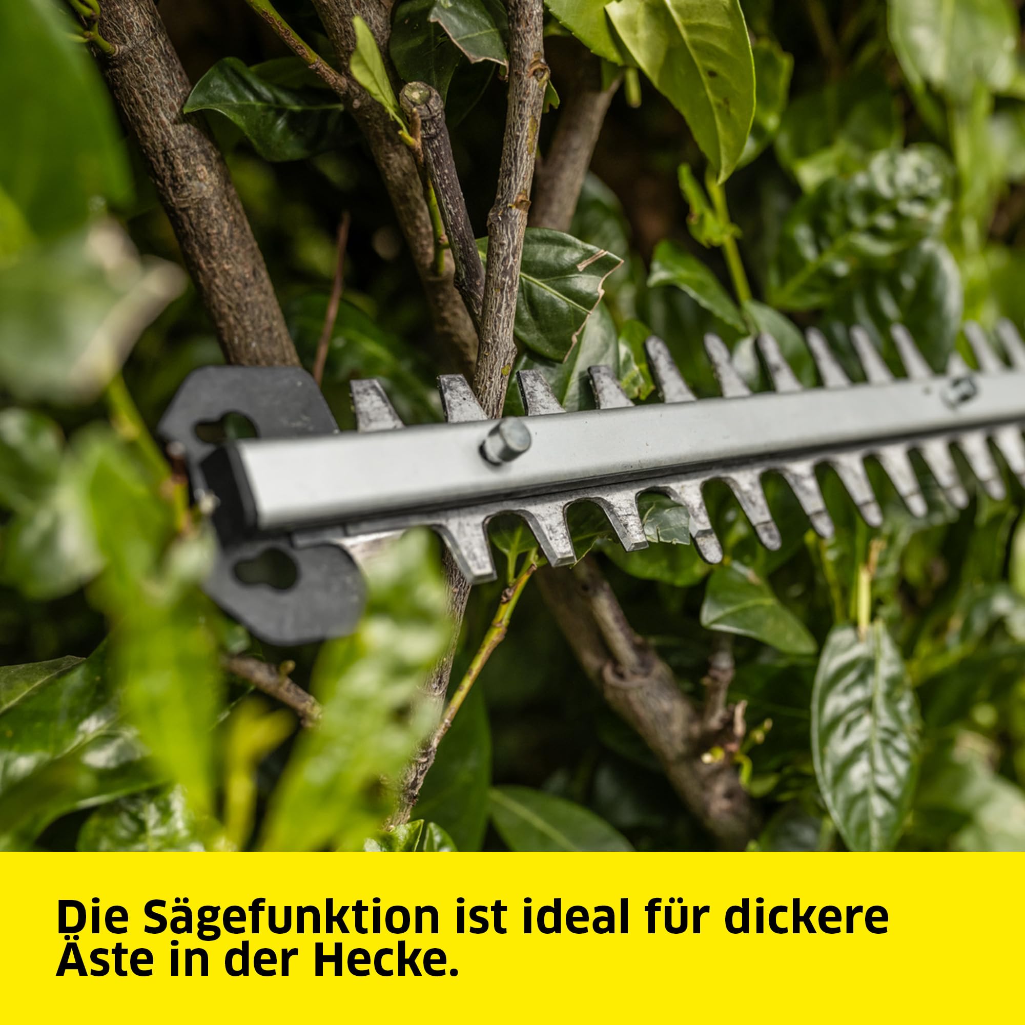 Kärcher Akku‑Teleskop‑Heckenschere PHG 2-18, hohe Hecken bis zu 2,80 m, Schnittlänge: 45 cm, Schultergurt, Gewicht: 2,7 kg, verwendbar mit dem Kärcher 18-V-Akku, ohne Akku und Ladegerät