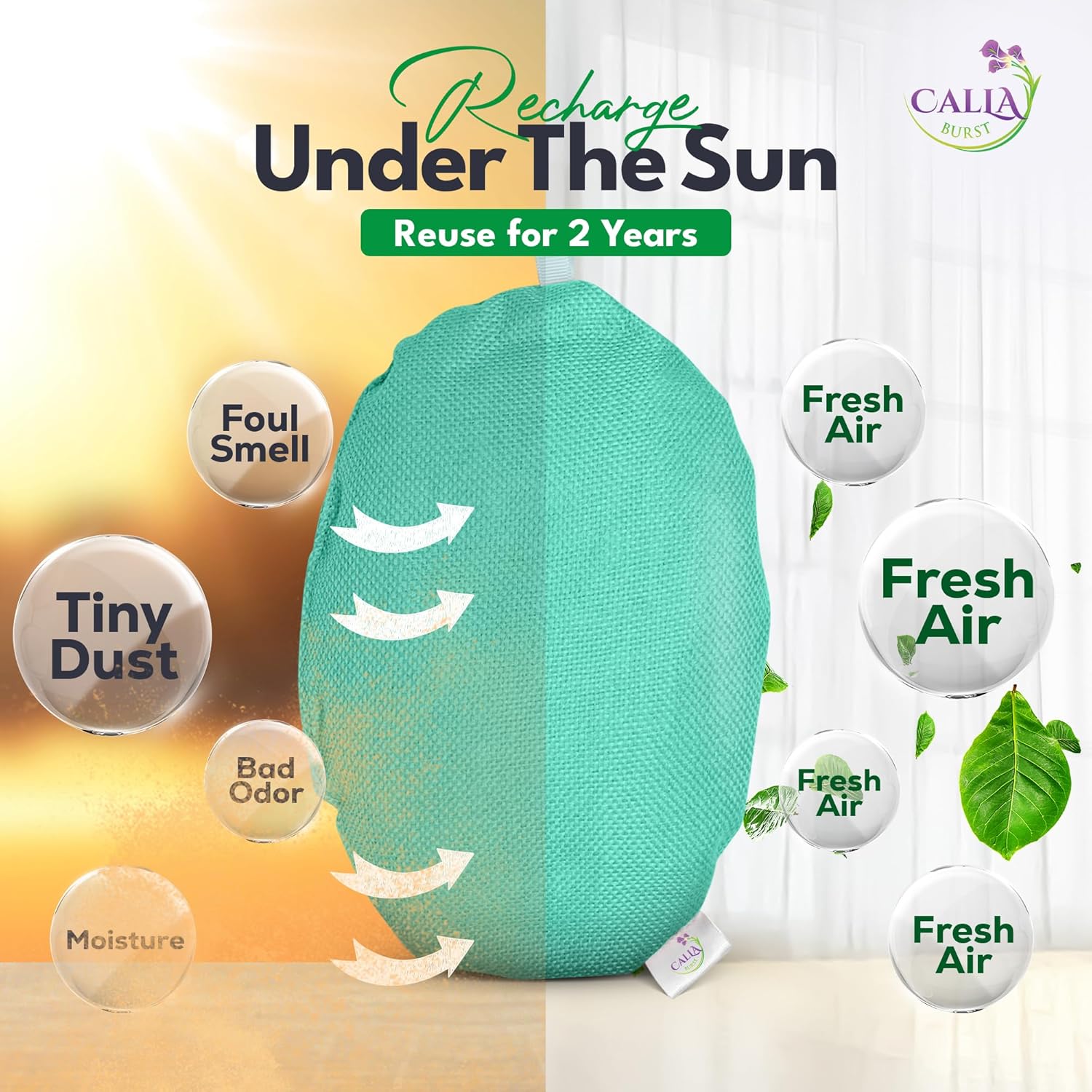 4 Pack Bamboo Charcoal Air Purifier Bags 200 Grams Each - Odor Absorber for Home, Car, Pets, Activated Charcoal Natural Freshener, Eco-Friendly & Reusable (Oval Shape)