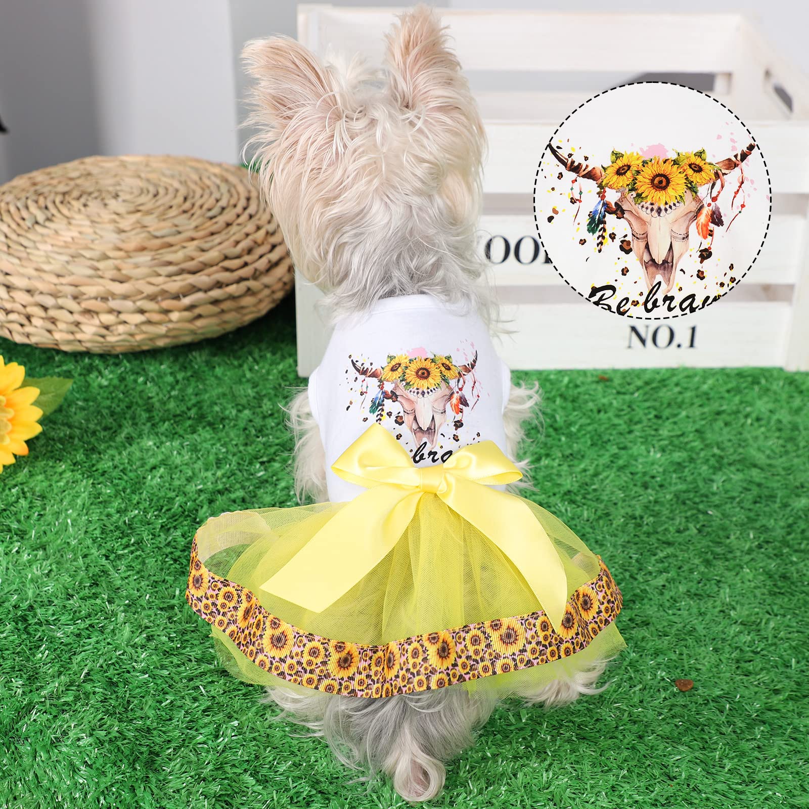 knee length dresses for ladies Stylish Gold Foil Printed Satin Pet Dress with Lace Trim for Fashionab   Canary Houze