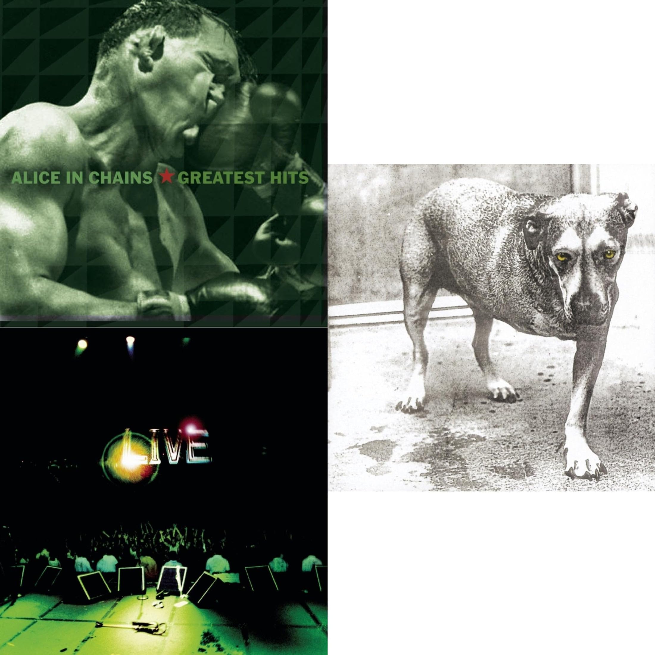 BMI Greatest Hits & Live & Alice In Chains Compact Disk Set