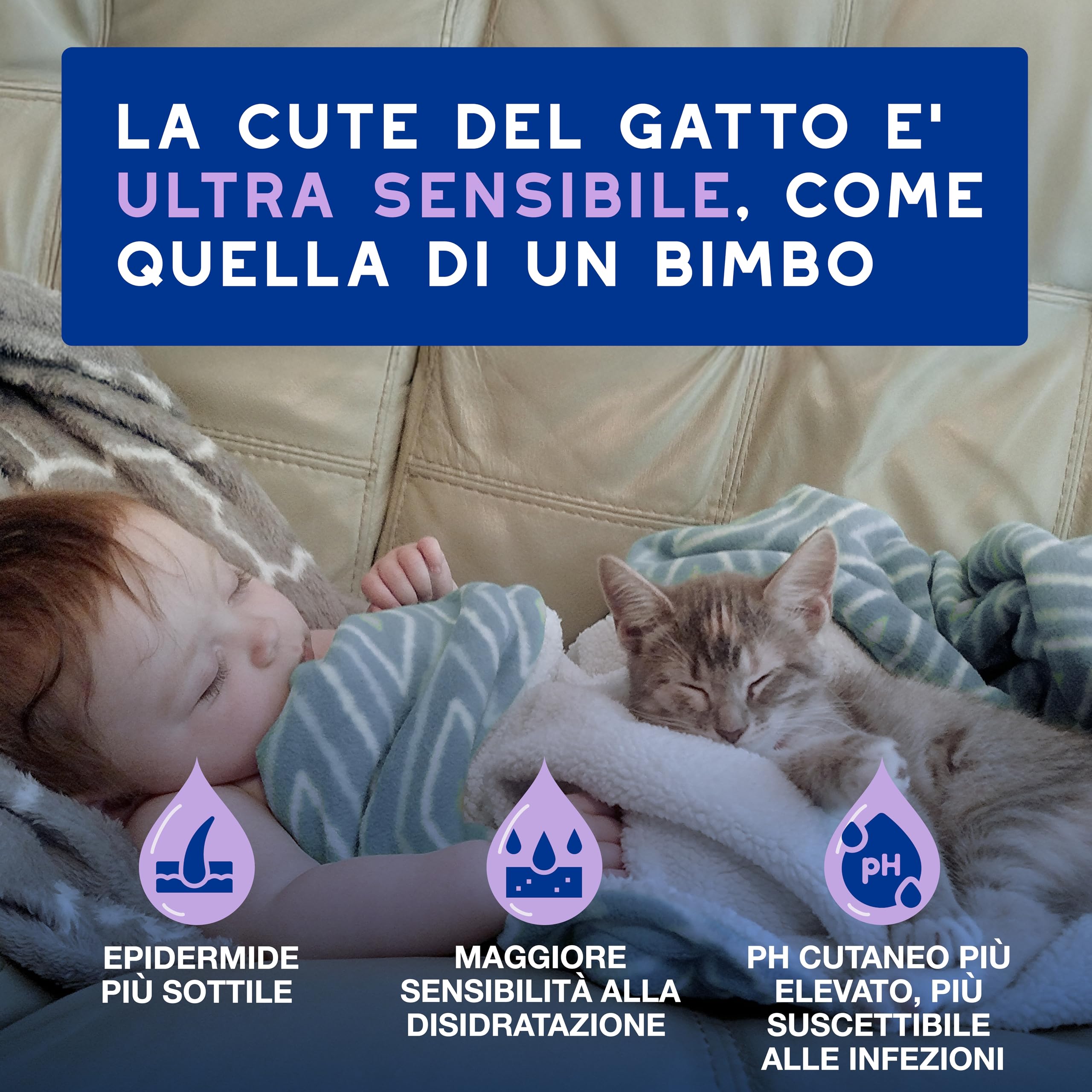 DOUXO® Skin & Coat SPA - Mousse Detergente Delicata Senza Risciacquo per Gatti, Ultra-Safe, 150 ml. Pulisce e rinfresca in modo sicuro il manto, lasciandolo morbido, luminoso e profumato