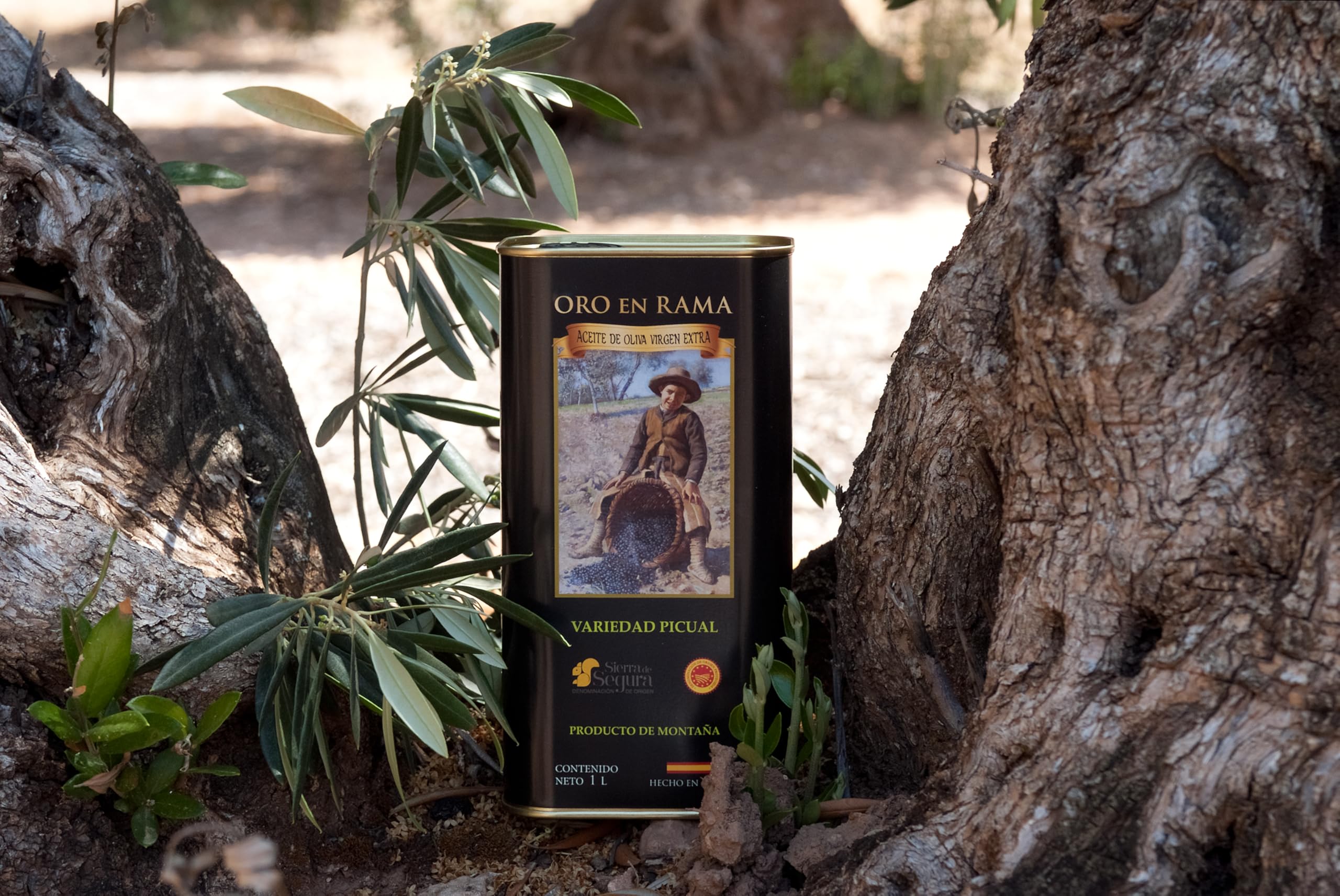 ORO EN RAMA | Aceite de Oliva Virgen Extra 100% Picual de Jaén | AOVE Premium de Primera Extracción en Frío | Aceite de olivar tradicional de montaña | DOP Sierra de Segura | NUEVA COSECHA 25/26 | 1L.