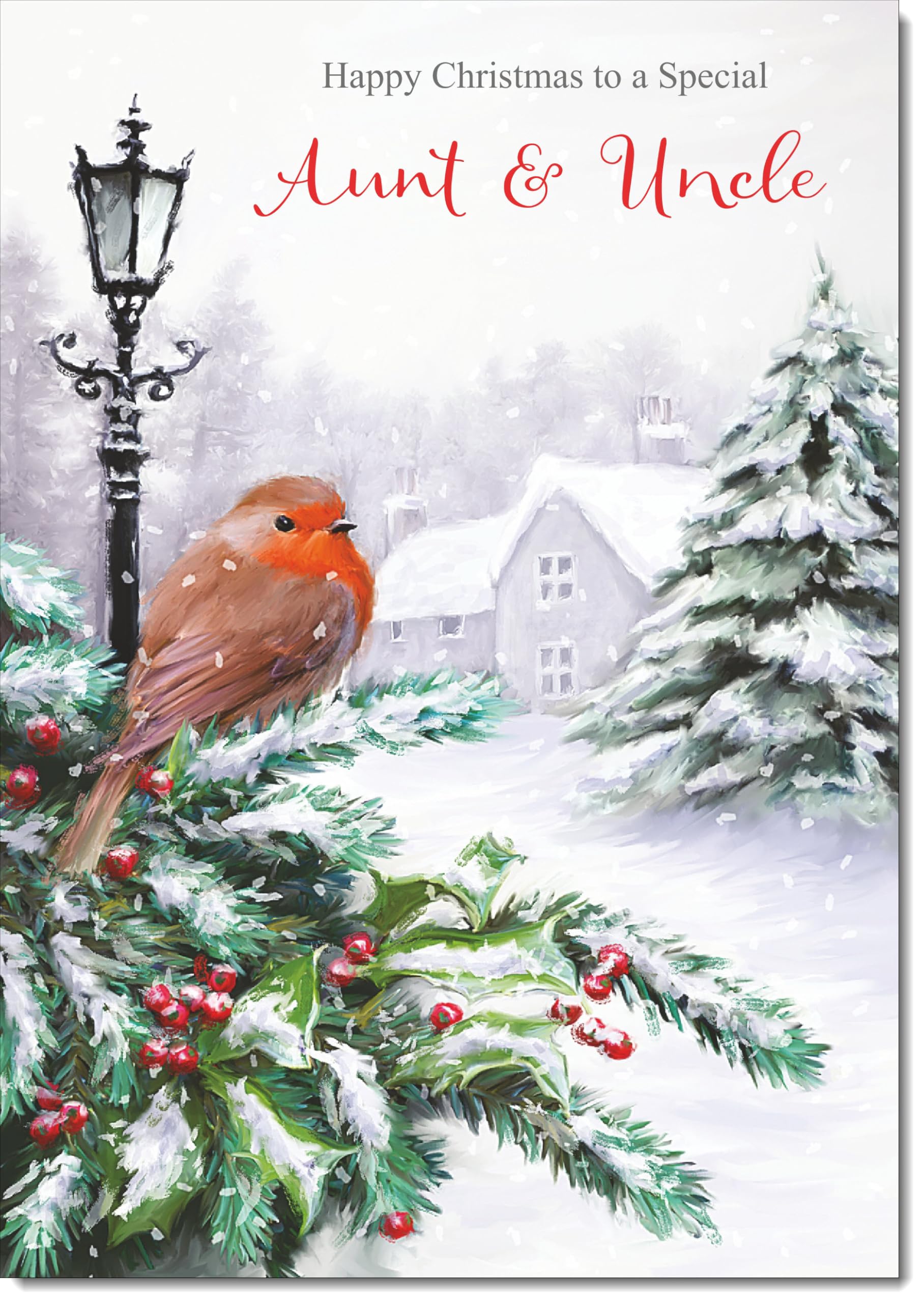 doodlecards Aunt and Uncle Christmas Card Robin by Lamp Large A4 Size Christmas Card for Aunt & Uncle with Plain Envelope — image 1