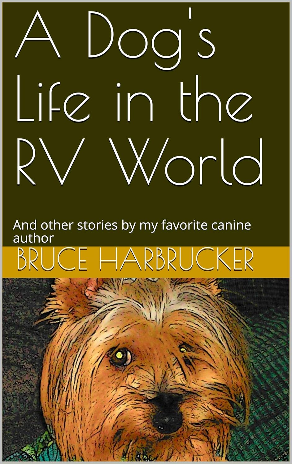 Adventures of a Canine in the RV World: Tales from My Furry Friend