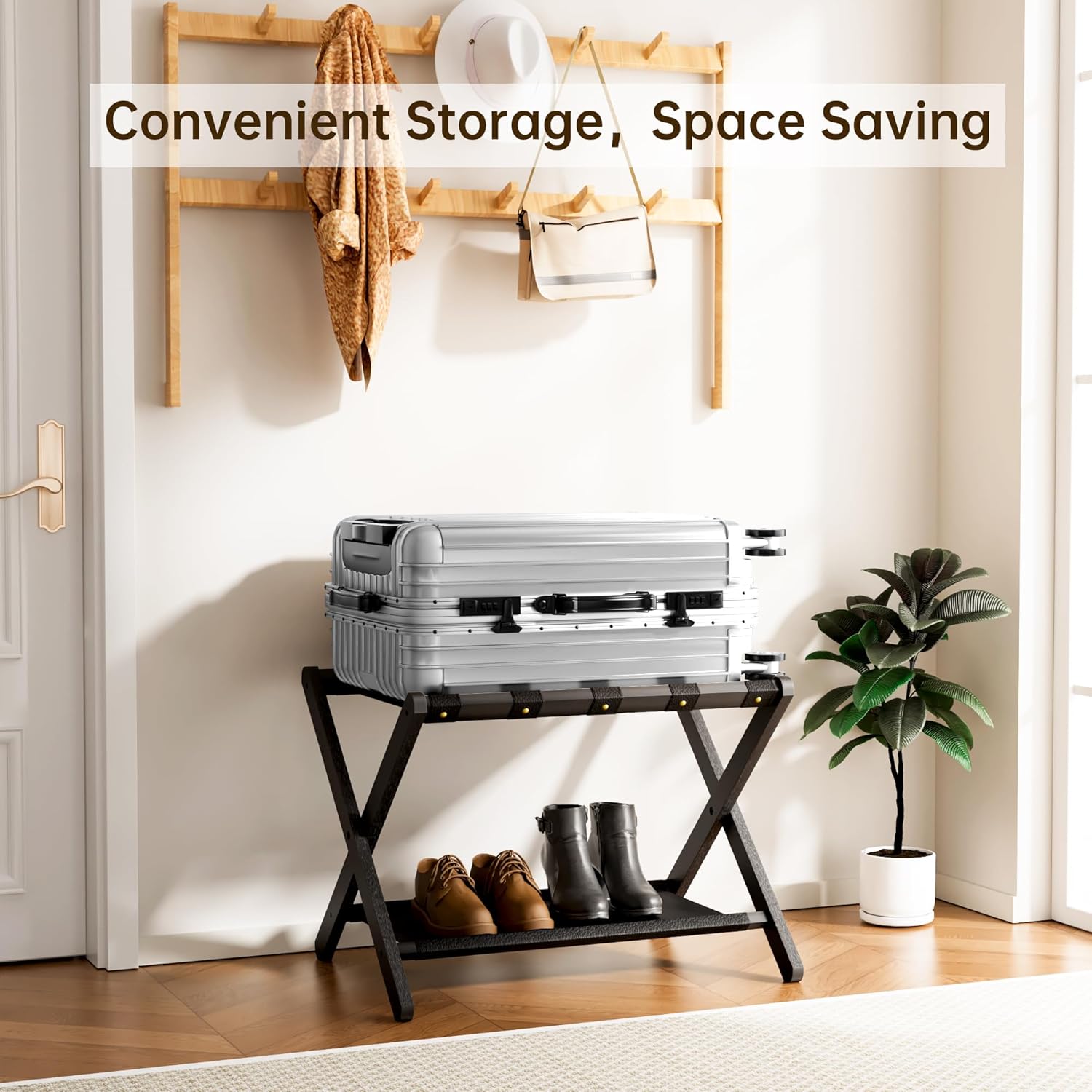 https://m.media-amazon.com/images/I/81xpsLWN38L._AC_SL1500_.jpg