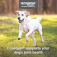 Vista 3 de Nutramax Cosequin - Suplemento para la salud de las articulaciones para perros, contiene glucosamina para perros, además de condroitina y MSM, apoya