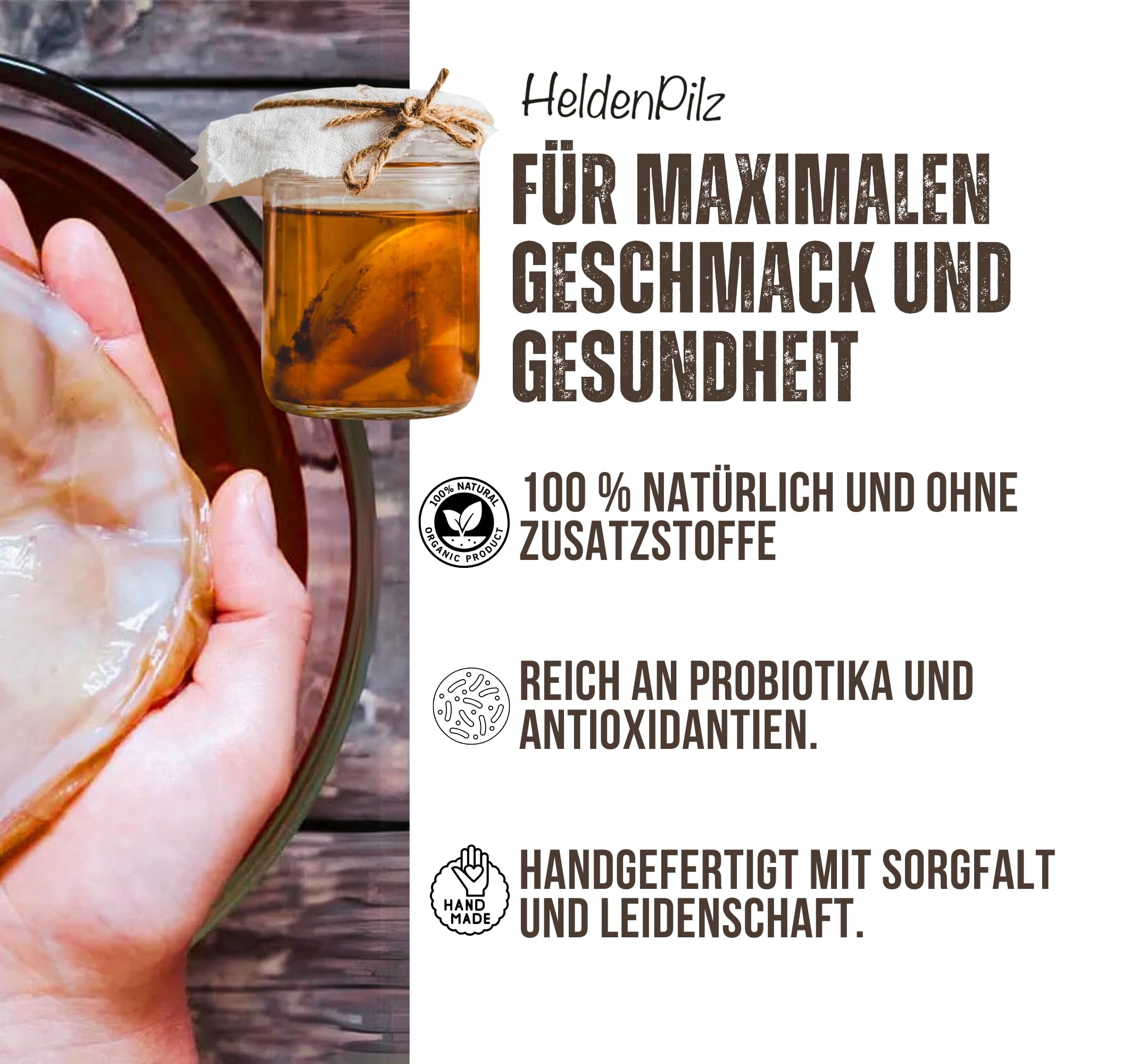 HeldenPilz Kombucha - Scoby vital y potente con líquido de raíz | Para 6 l de kombucha | Garantía de éxito, 100% natural, duradero