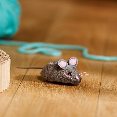 Cat Toys The 11 Best Motion Activated Cat Toys BestForPets