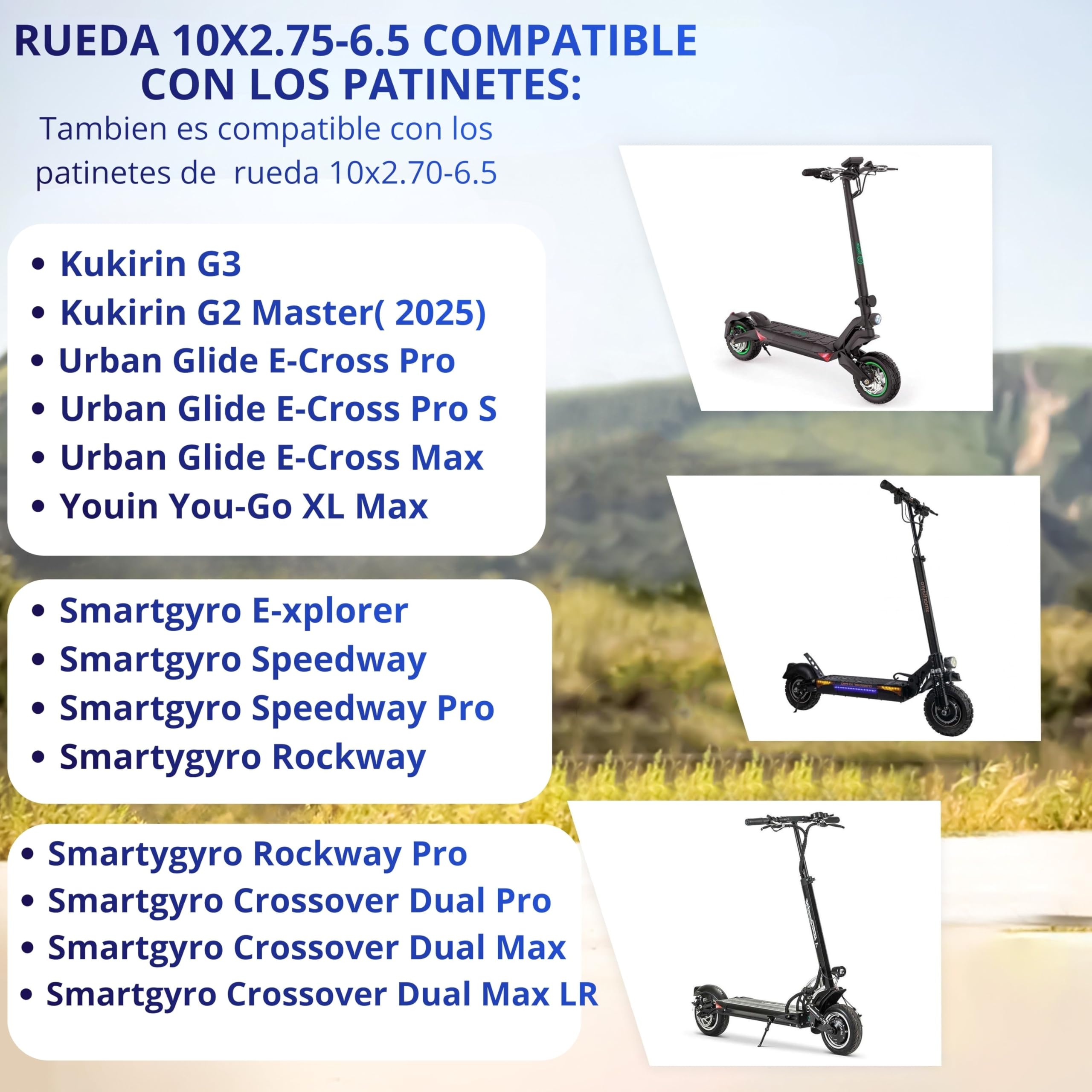 ANSENI Neumático Todoterreno Tubeless 10 pulgadas (10x2.75-6.5) | Compatible con Smartgyro Speedway, Rockway, Dualtron 3, CrossOver, Kukirin G3 y Urban Glide E-Cross Pro, Rueda para patinete