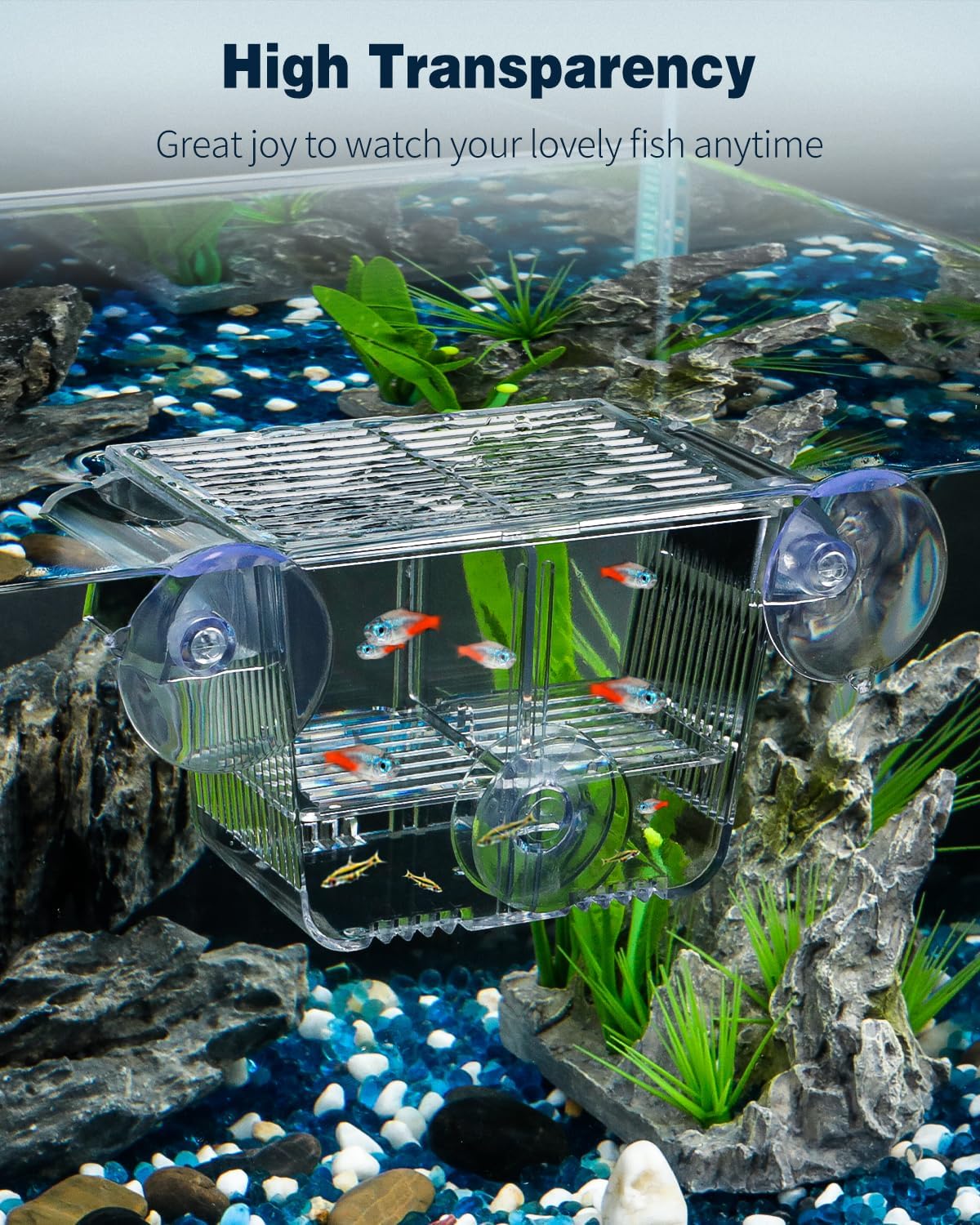 Pawfly Scatola di allevamento di pesci per acquario incubatrice per bambini con 6 ventose acrilica Gamberetti Betta piccola