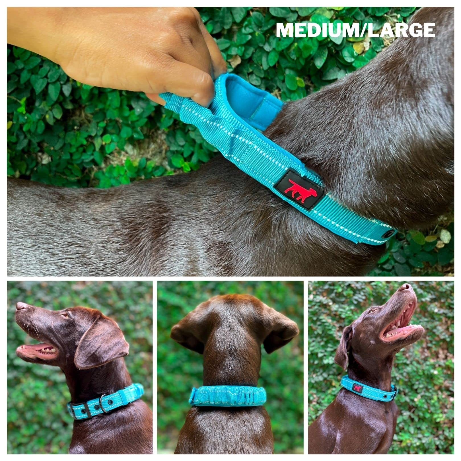 Collare per cani resistente Tuff Pupper con manico | Collare resistente in nylon balistico | Collare per cani riflettente imbottito con hardware regolabile in acciaio inossidabile