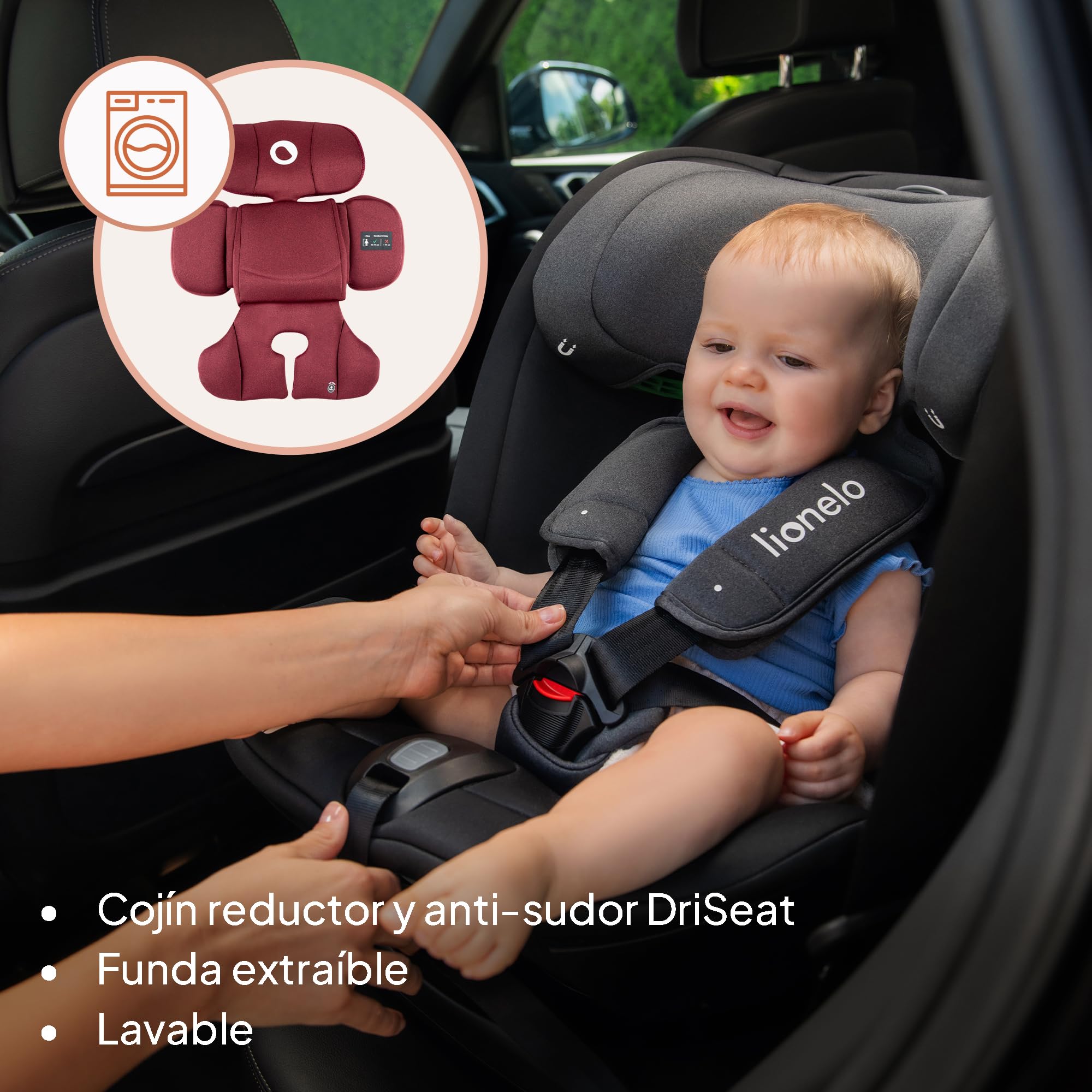 LIONELO Bastiaan RWF i-Size Silla de Coche para Bebé Giratoria 360° 0-36kg, Instalaciión Delantera y Trasera (18kg), ISOFIX TopTether, Reposacabezas y Respaldo Ajustables Protección Lateral | Giratoria 360° 0-36 kg, Instalación Delantera y Trasera (18 kg)