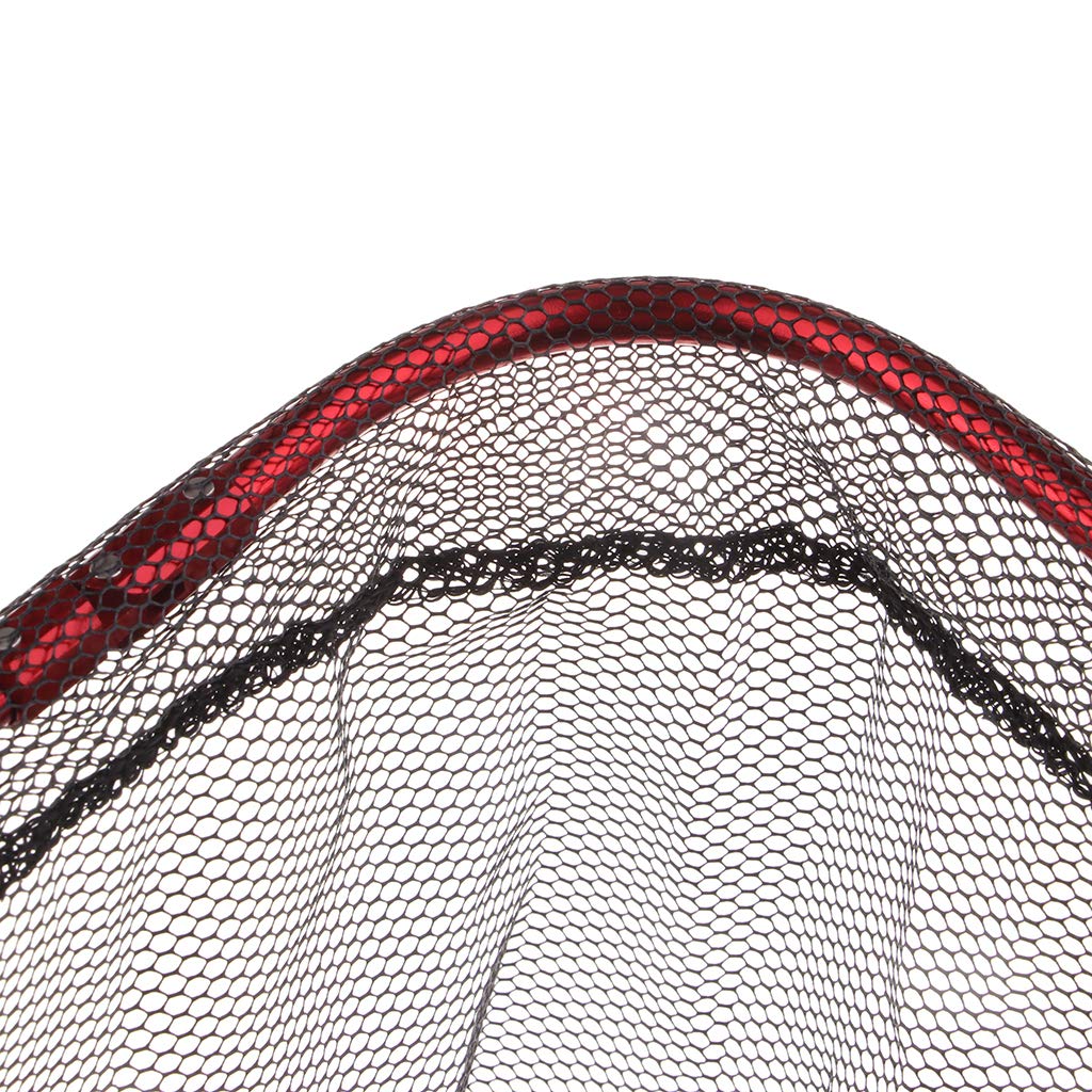 Amazon | SM SunniMix ングネットヘッド 釣り網 タモ網 三角形 強力