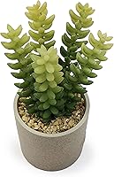 Vista 9 de allgala Pequeño grupo de plantas suculentas artificiales de escritorio con maceta de arcilla natural
