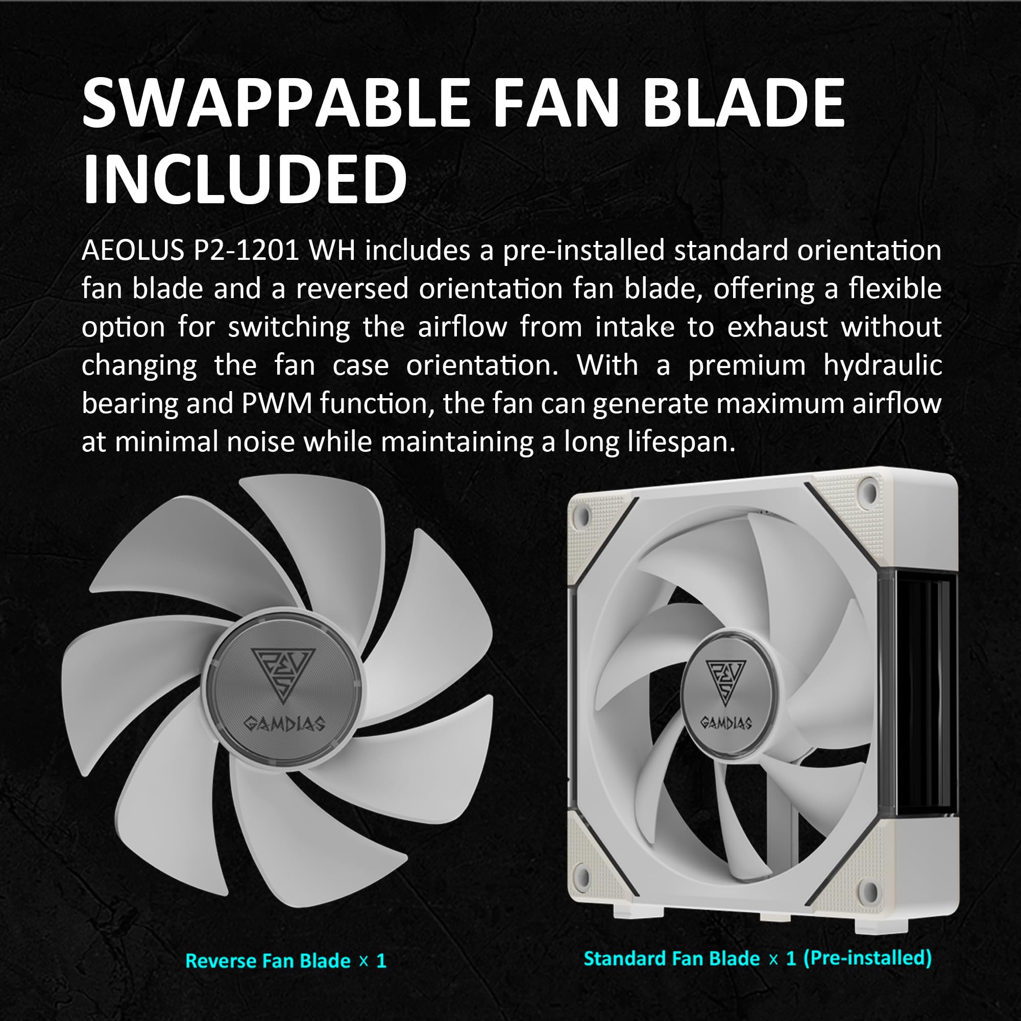 Amazon.com: GAMDIAS Aeolus P2-1203U 120mm ARGB PWM Fan(3 Fan Pack