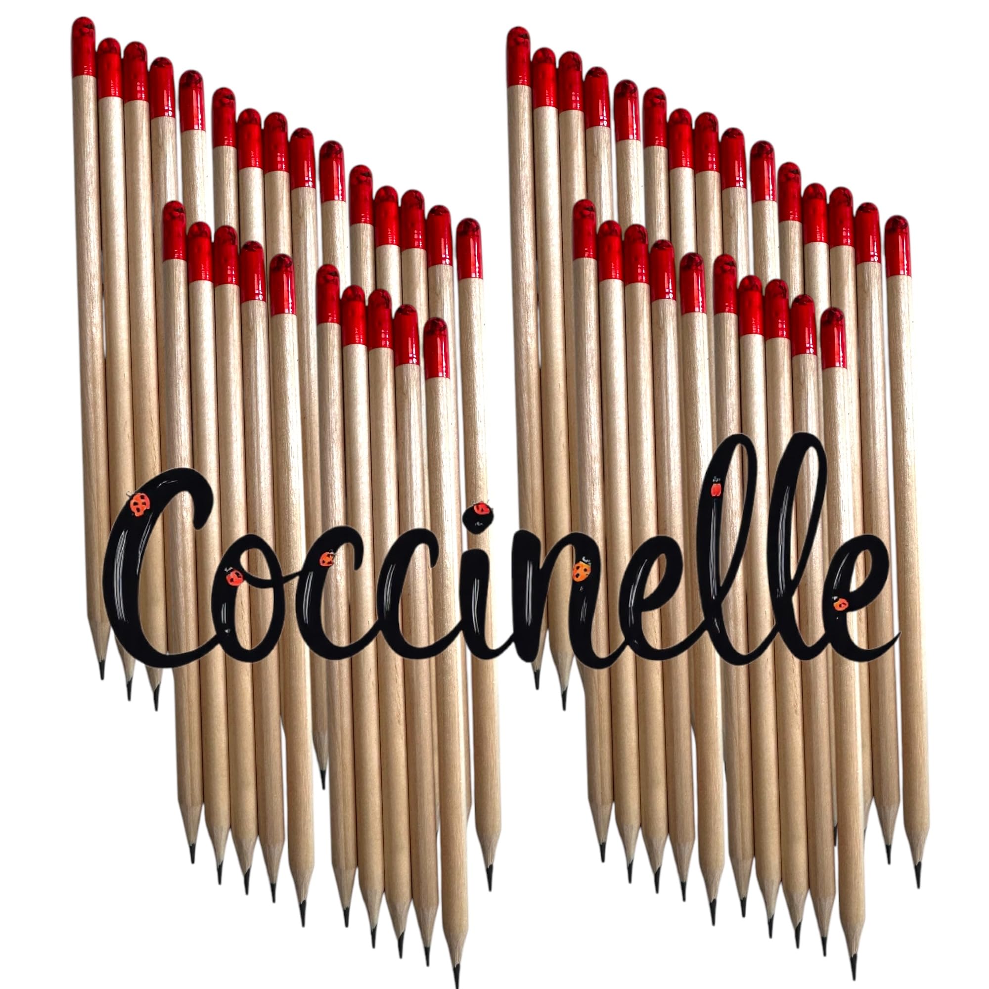 Generico VALUE PACK MATITE PIANTABILI - SENZA CARTONCINO (100 PEZZI fiori misti che attirano le coccinelle)