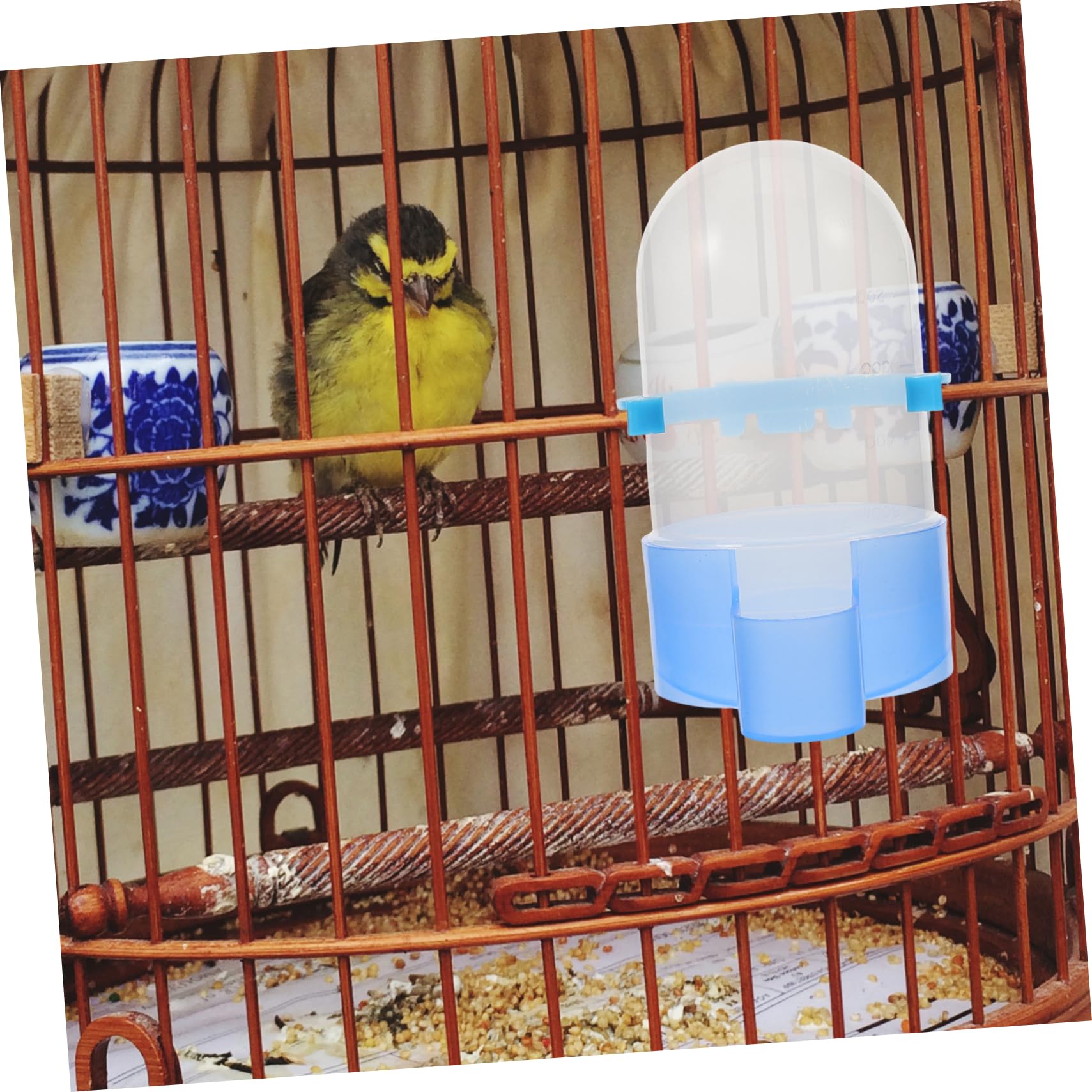 BESPORTBLE 5pièces Distributeur Eau Nourriture Automatique pour Oiseaux Abreuvoir Réutilisable pour Perroquets Et Autres Oiseaux Adapté pour Usage Intérieur Et Extérieur