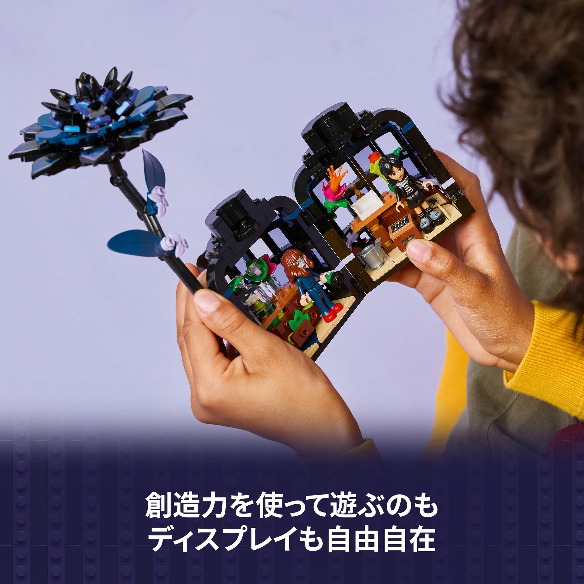 Amazon.co.jp: LEGO JAPAN: 冒険