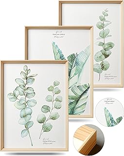 Framed Wall Art,Minimalist Botanical Canvas Wall Art for Living Room,12x...