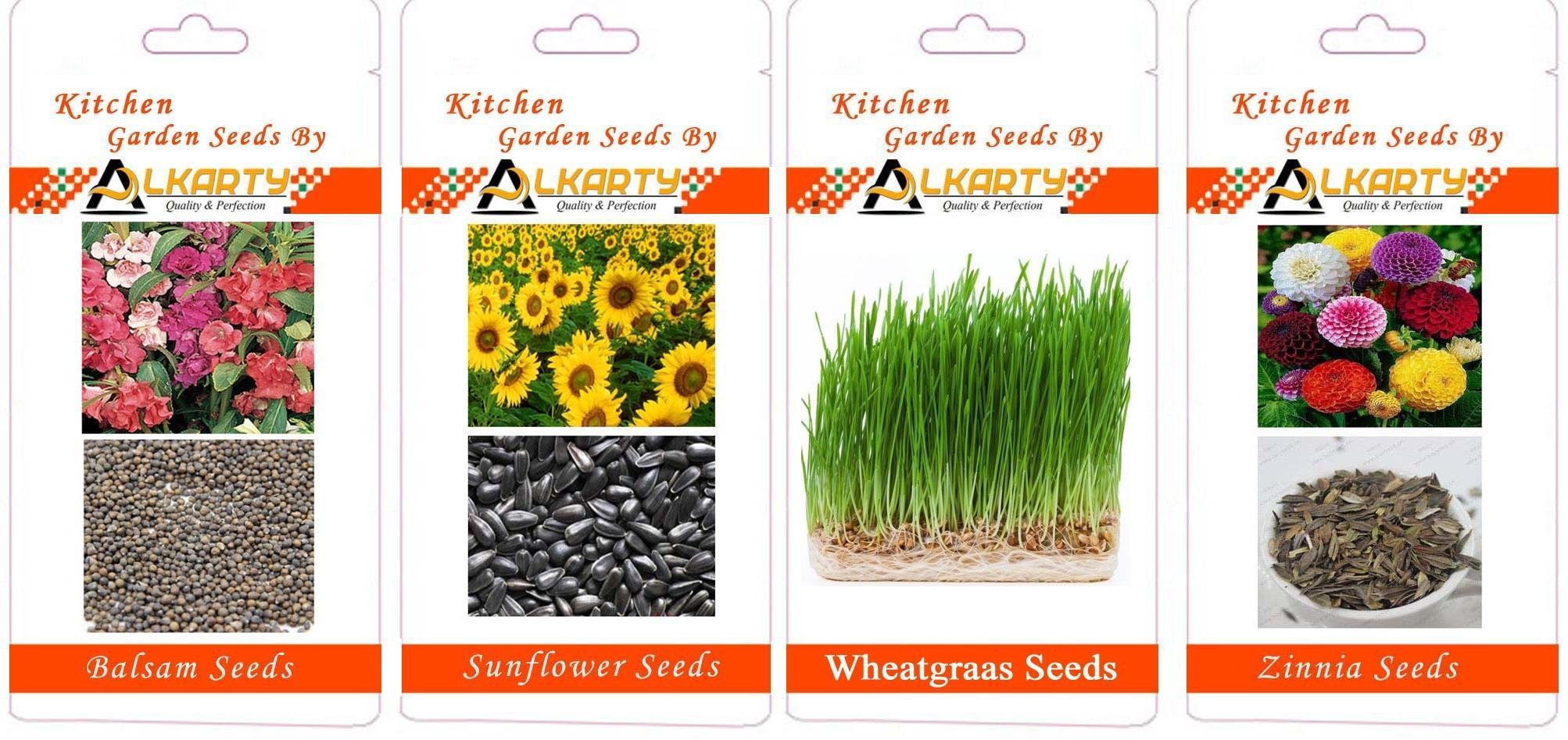 Balsam, Sunflower, Wheatgrass, Zinnia Summer Flower Seeds Pack of 20 Each-image-44