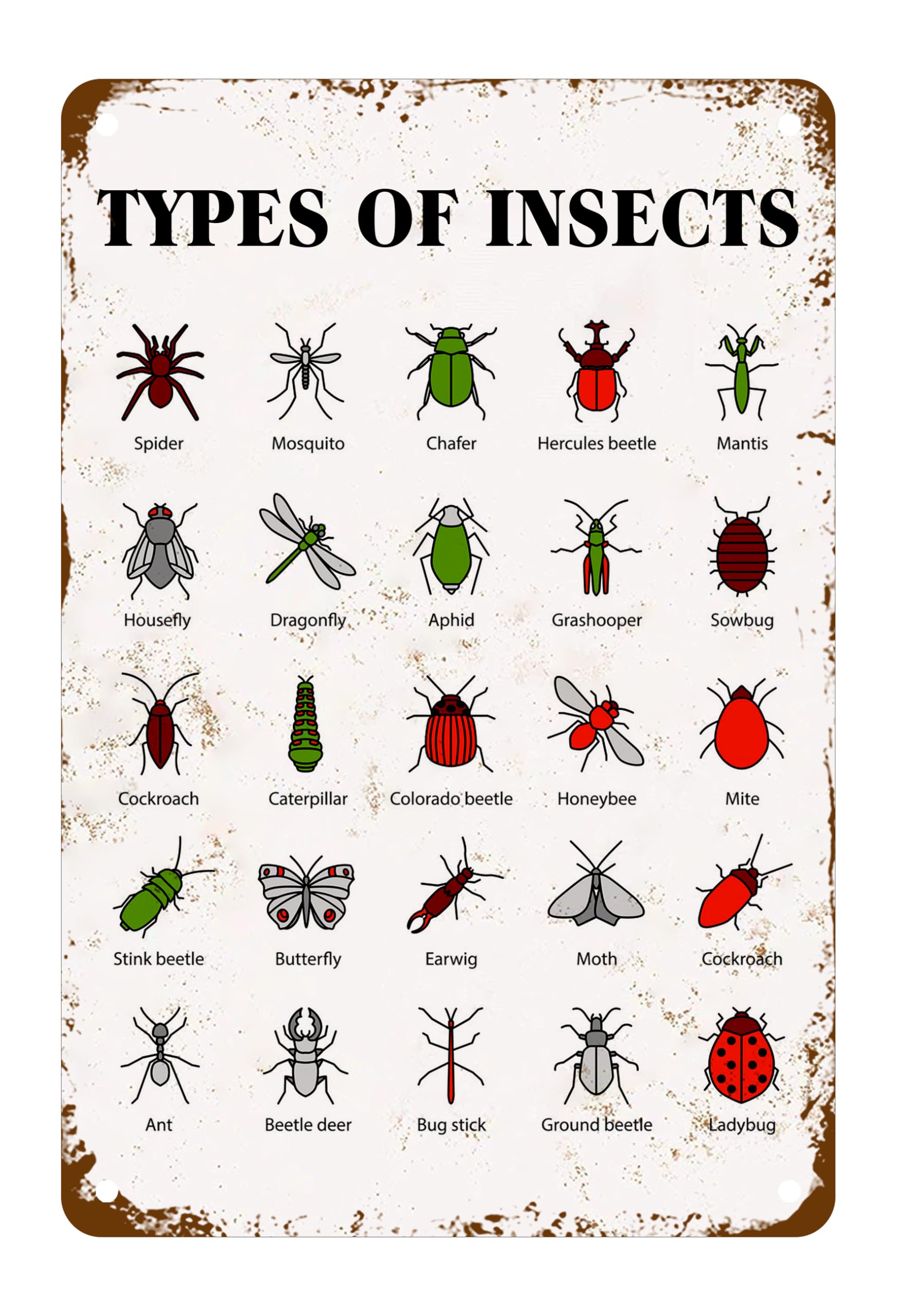 Oudrspo Types Of Insects Bug Sign Metal Tin Signs, Insects Collection Species Identification Reference Chart Entomology Diagram Classroom Club Wall Decor 12x16 Inch