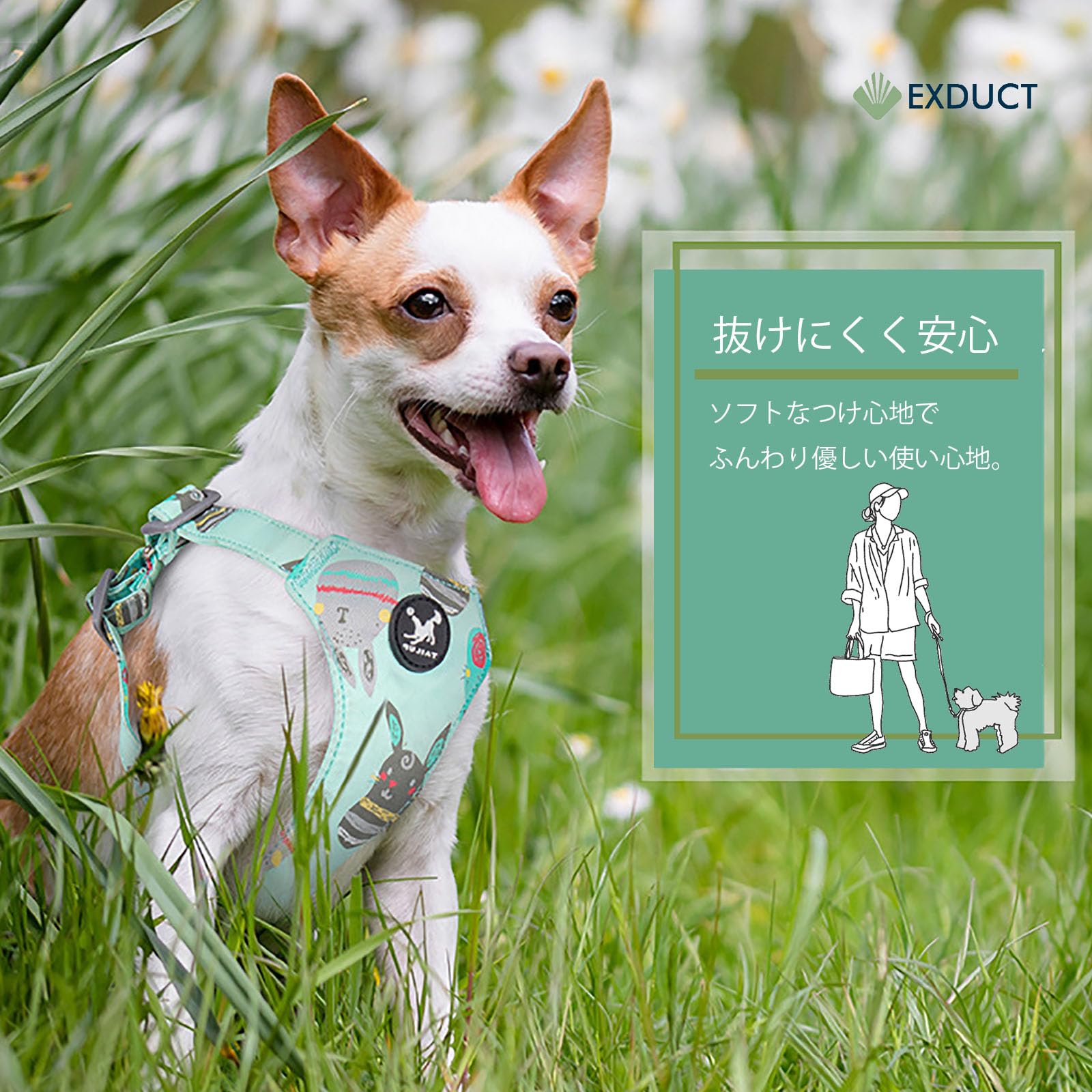Amazon | EXDUCT 犬用ハーネス ハーネス 犬用胴輪 小型犬 中型犬