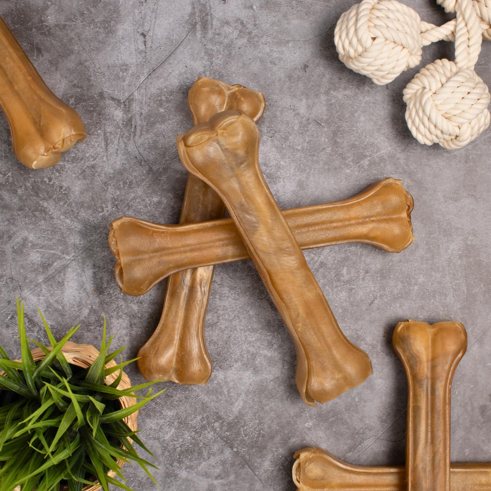 Lyra Pet® 10 os à mâcher en Peau de bœuf env. 25 cm, Snack séché Chiens | Os pour chiens riche en protéines | Hygiène dentaire | Long plaisir à mâcher | Naturel & pauvre en graisses