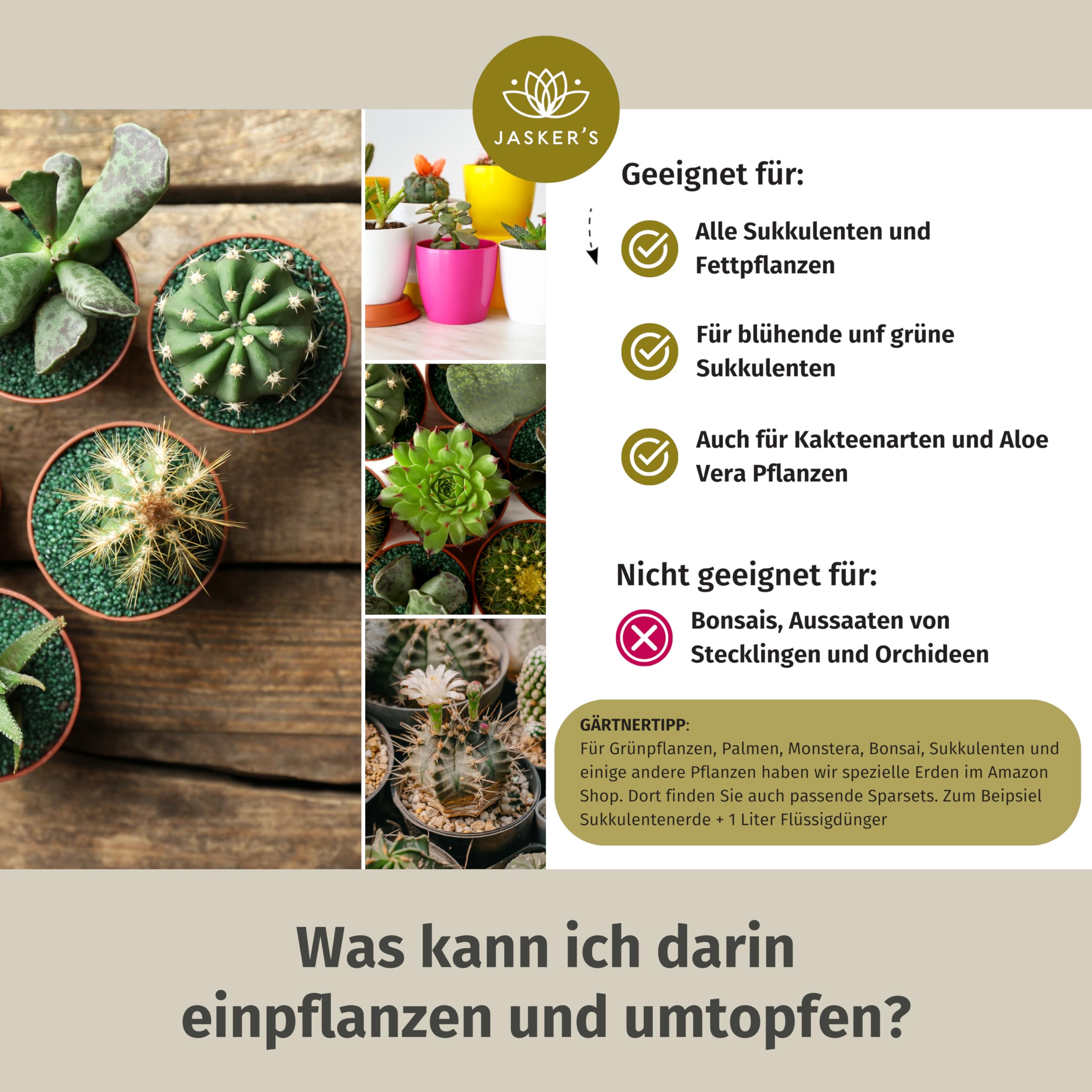 JASKER'S Sukkulentenerde 40 L 4x10L - Sukkulenten Erde Dünger - Um 40% torfreduziert - Erde Sukkulenten - Sukkulenten+Erde - Sukkulenten Substrat - Auch als Kakteenerde Kaktuserde geeignet