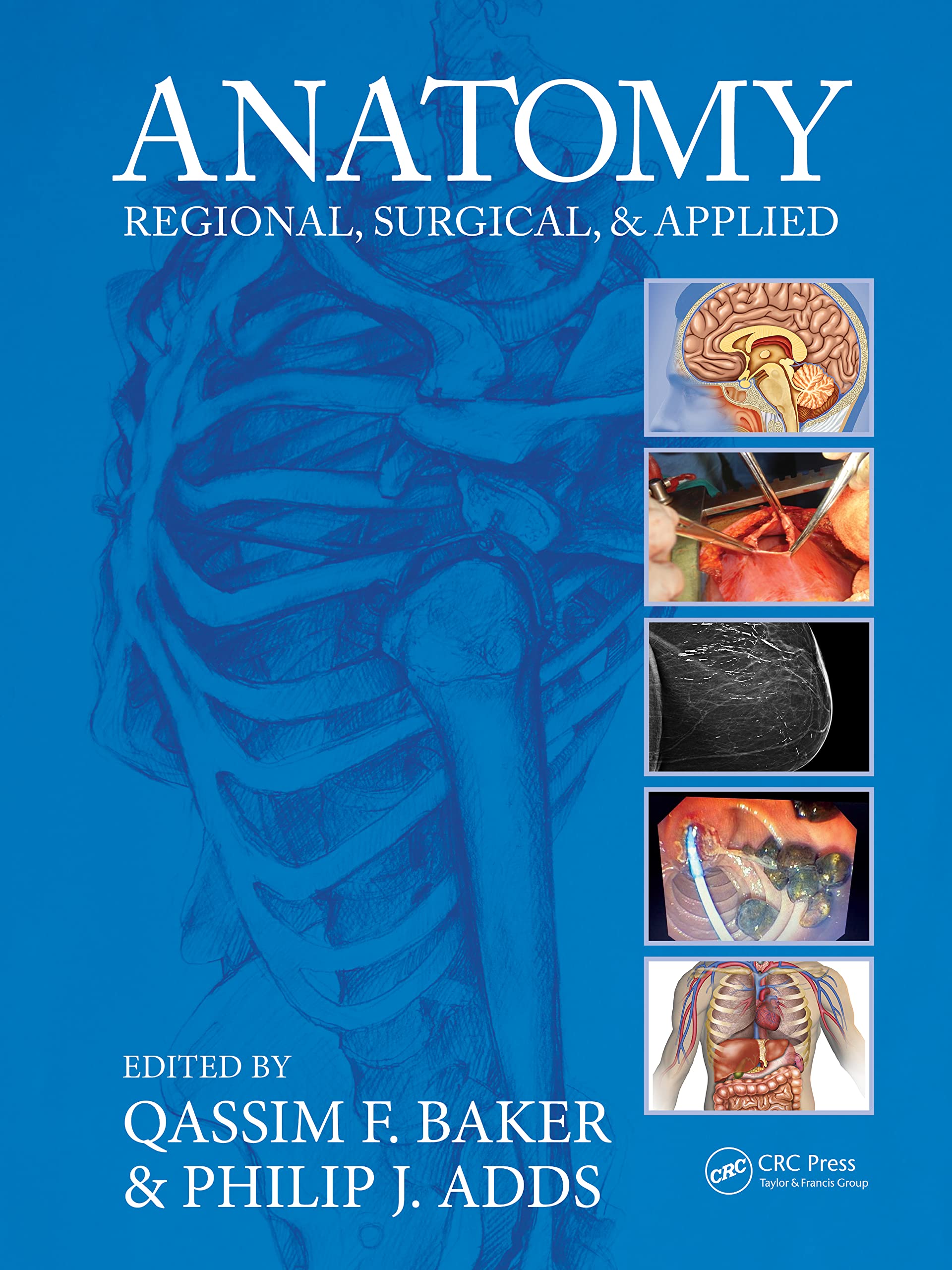 Buy Anatomy: Regional, Surgical, and Applied Book Online at Low