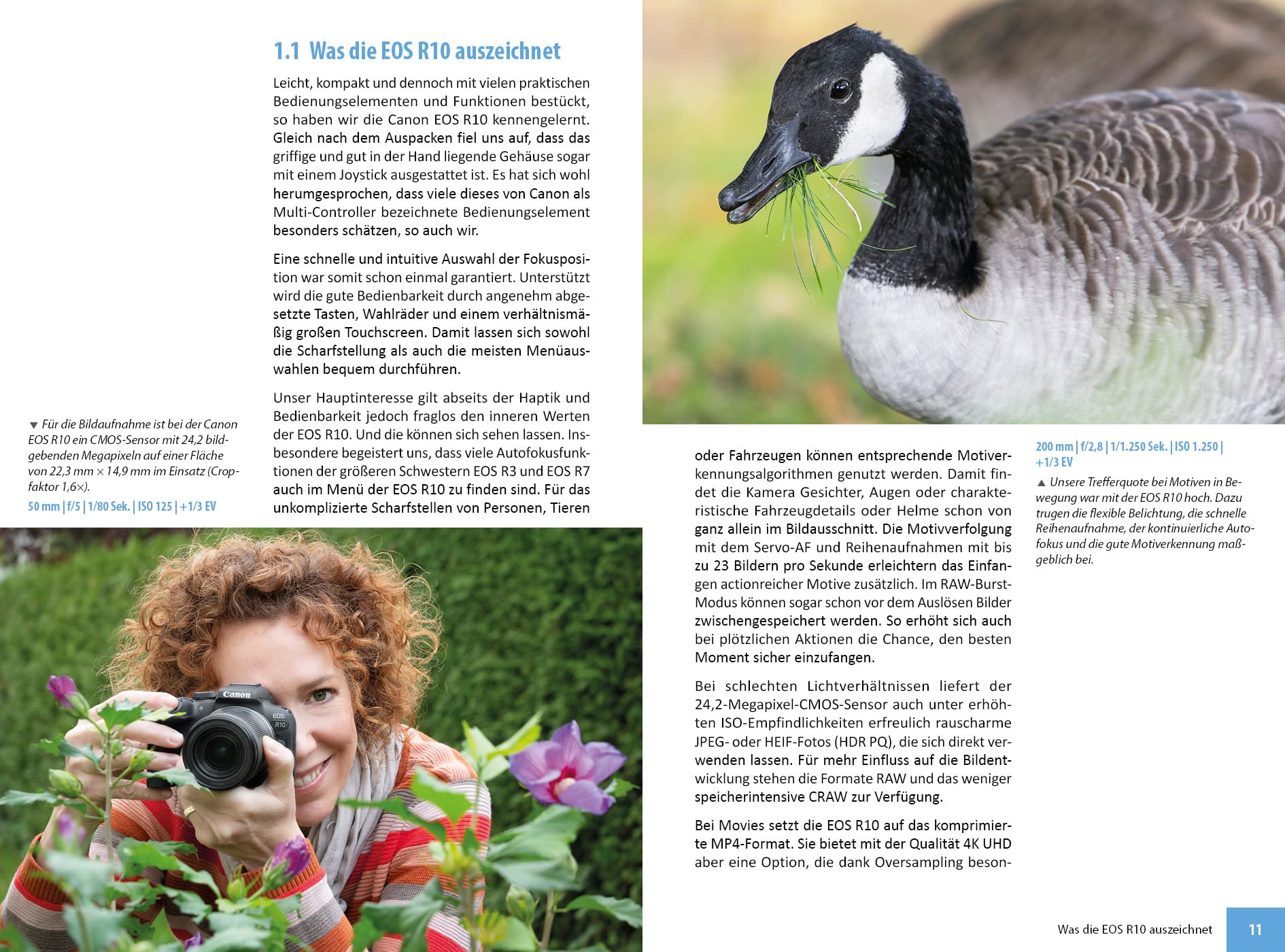 Canon EOS R10: Das umfangreiche Praxisbuch zu Ihrer Kamera!