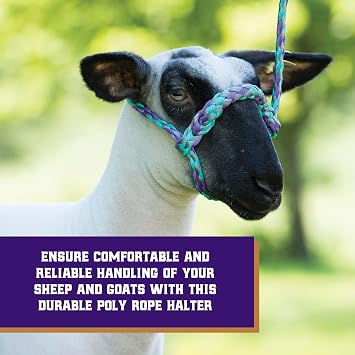 Weaver Livestock Braided Poly Rope Halter, 4 ft Modern, Adjustable, Soft Braid Sheep Halter, Livestock Equipment for Sheep, Goats