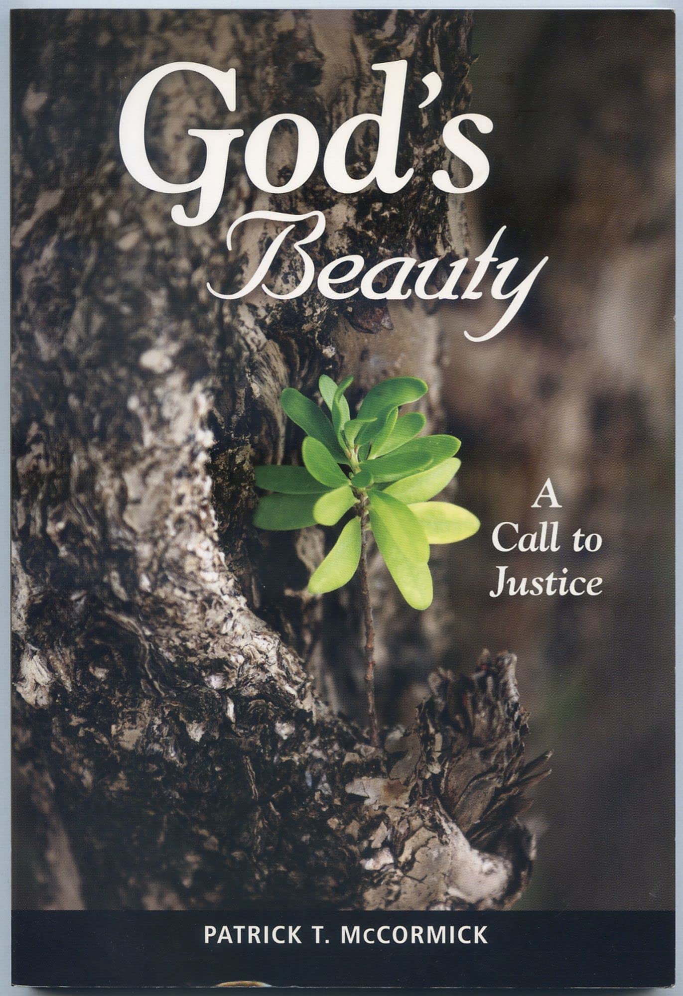 Buy God's Beauty: A Call to Justice — BookShops.in