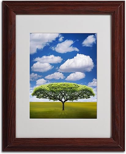 Miniatura 2 de Philippe Sainte-Laudy - Lienzo decorativo para pared (marco de madera, 11.0 x 13.8in)