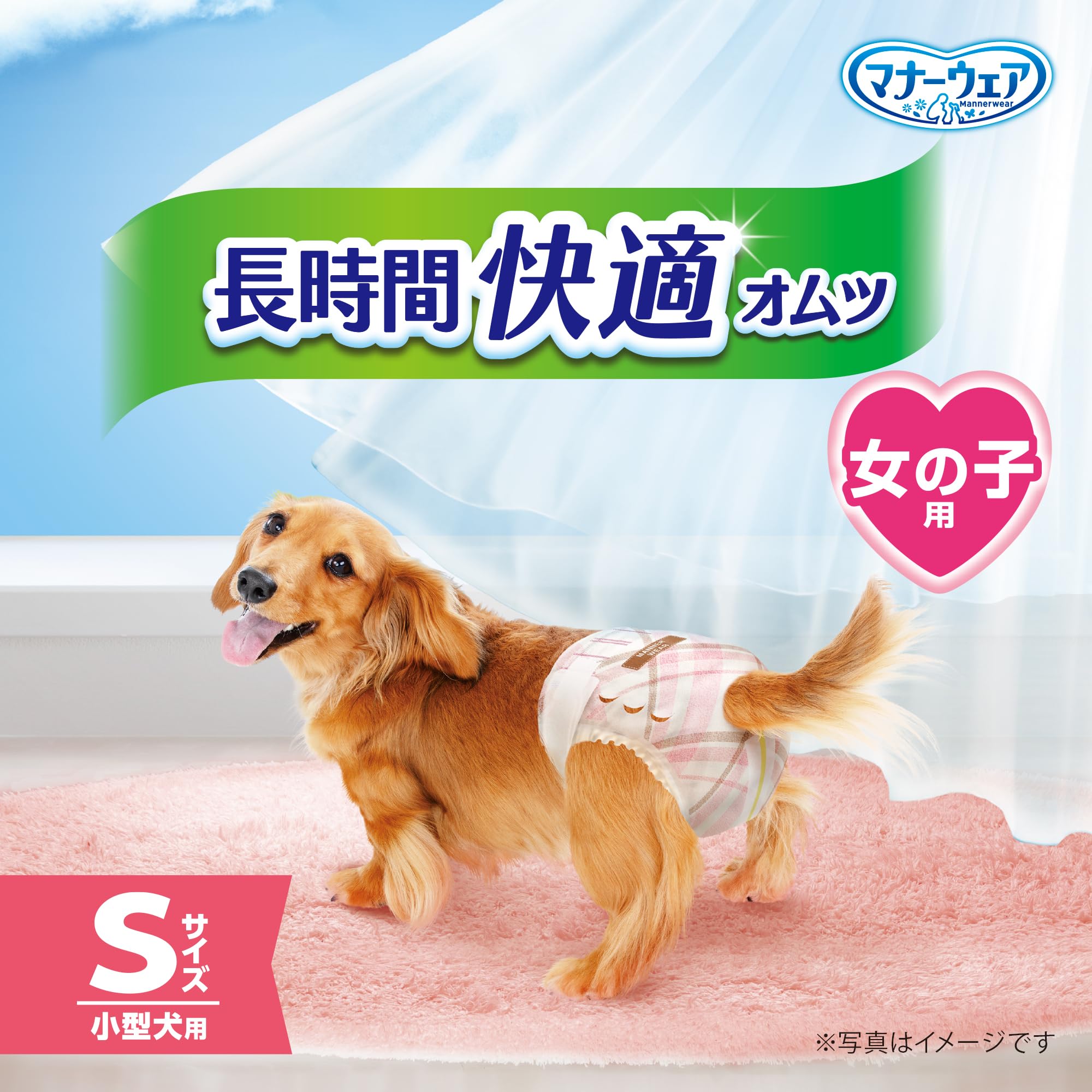 Amazon.co.jp: マナーウェア 犬用 おむつ 長時間オムツ 女の子用 S
