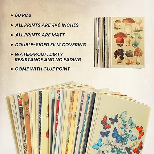 Miniatura 2 de Containlol Kit de collage de pared vintage de 60 piezas, ilustración botánica, tarot, estética, vintage, estampados, tarjetas, colección de pared,