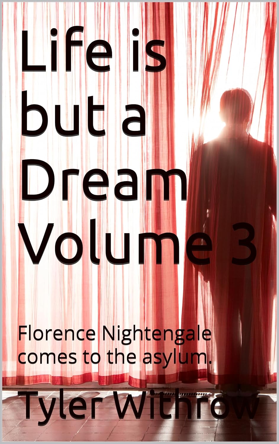 Amazon.com: Life is but a Dream Volume 3: Florence Nightengale comes to ...