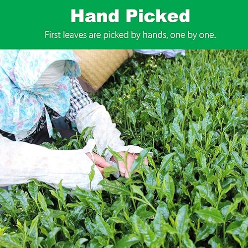 Miniatura 6 de iMaccha - Matcha grado ceremonial - Orgánico - Té verde japonés en polvo (3.5 oz) - Primera cosecha