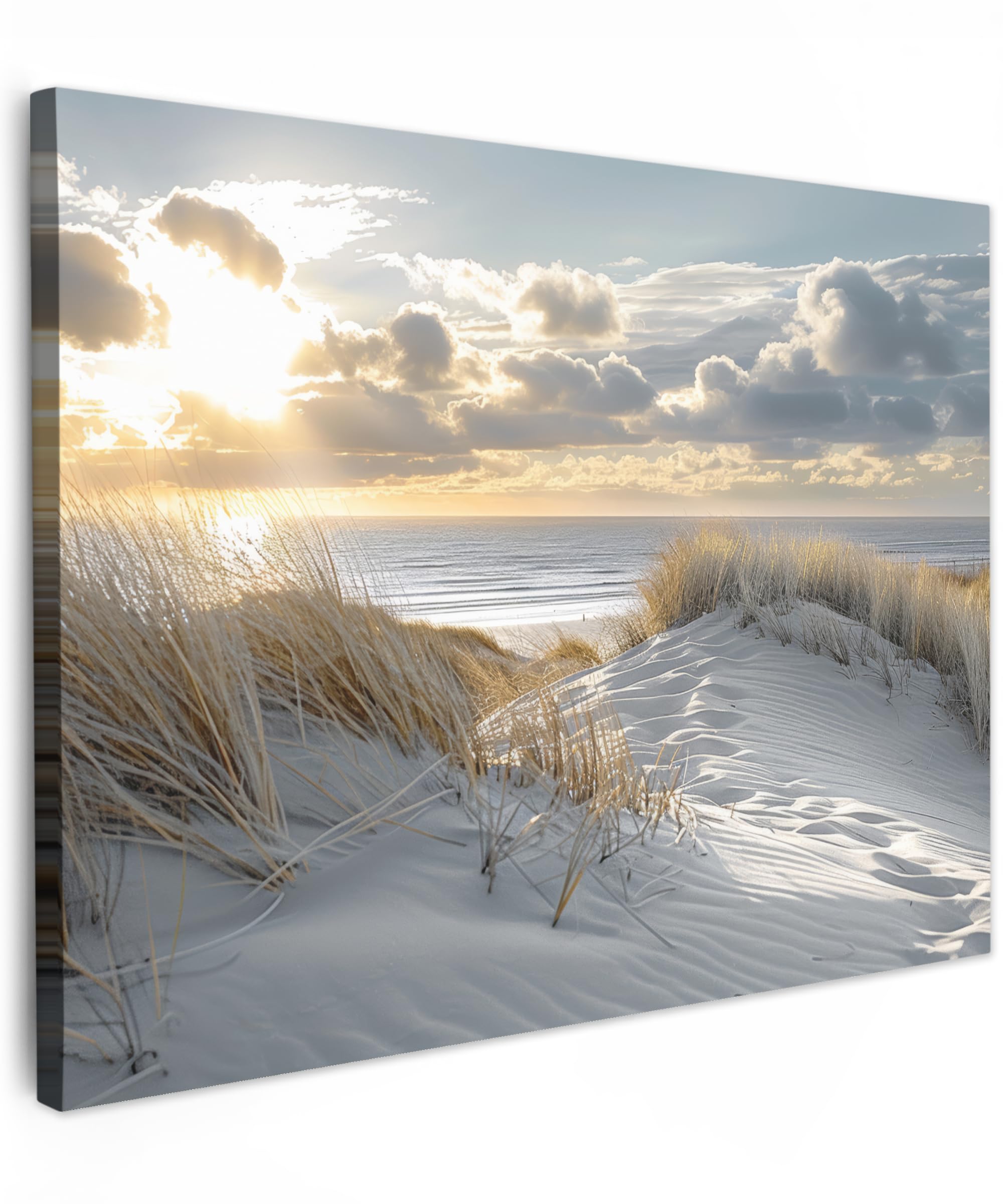Muchowow Dunes - Nature Muchowow© Canvas Wall Art 31"X24" / 80X60 Cm Decor Paintings Prints Framed On Canvas Decorations Wallart Dunes - Beach - Plants - Nature