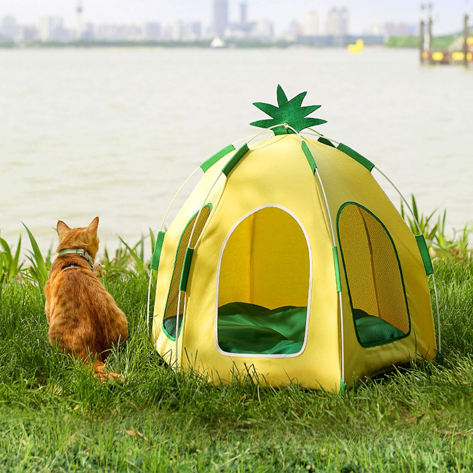 Lit pour Chat Lit pour Chaton Tente pour Chat, Lit pour Animal de Compagnie Triangle Igloo Confortable et Pliable, Maison de Grotte pour Chat en Forme d'ananas avec Coussin Amovible