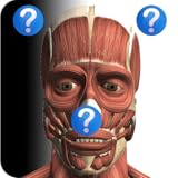 Anatomy Quiz Lite