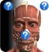 Anatomy Quiz Lite