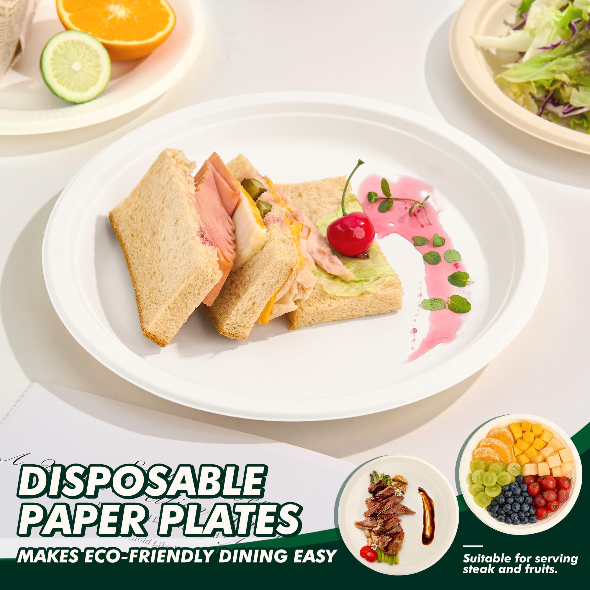 Compostable Paper Plates - 150 Pack (10 Inch) -7