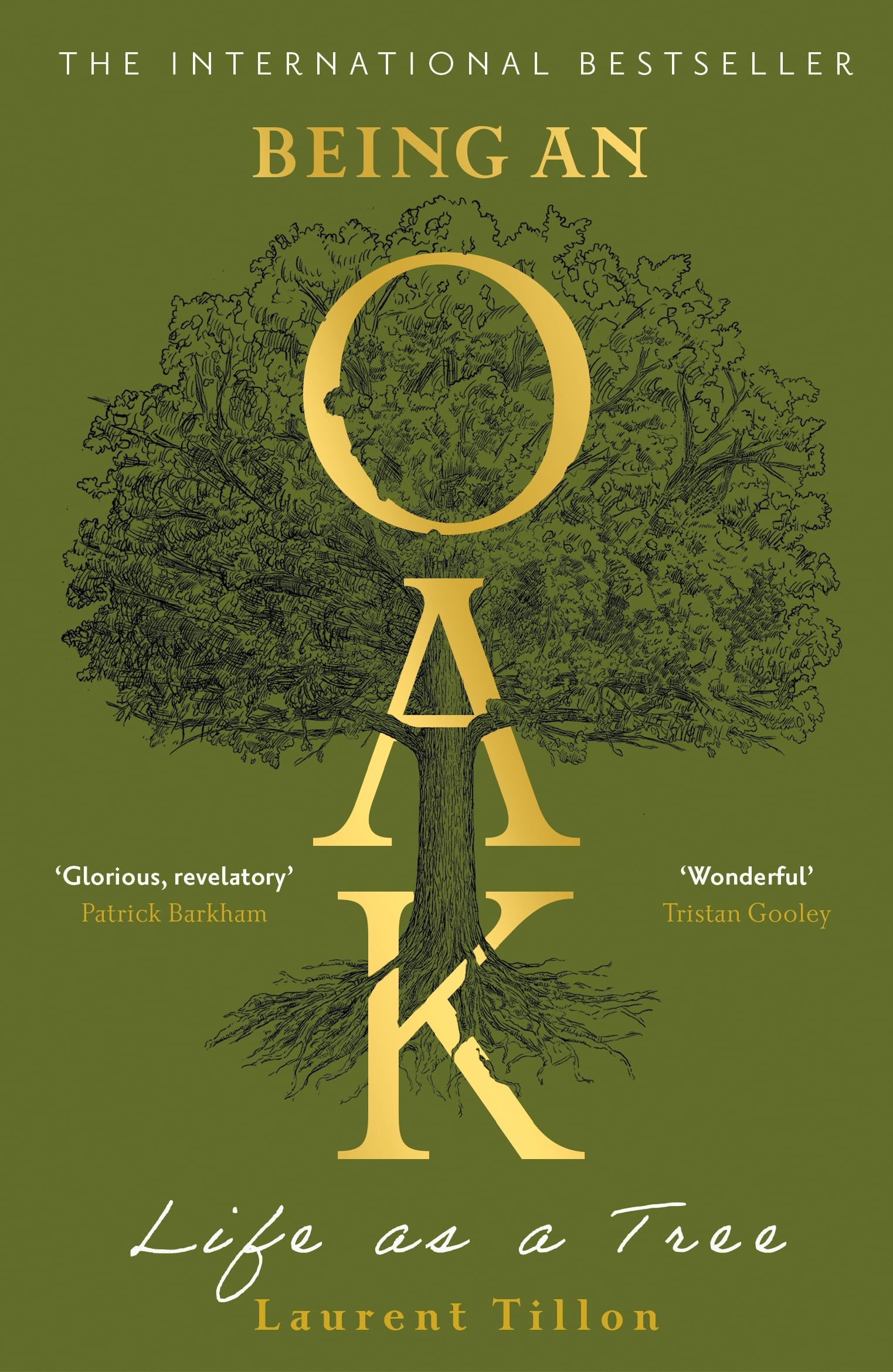 Being an Oak: Life as a tree