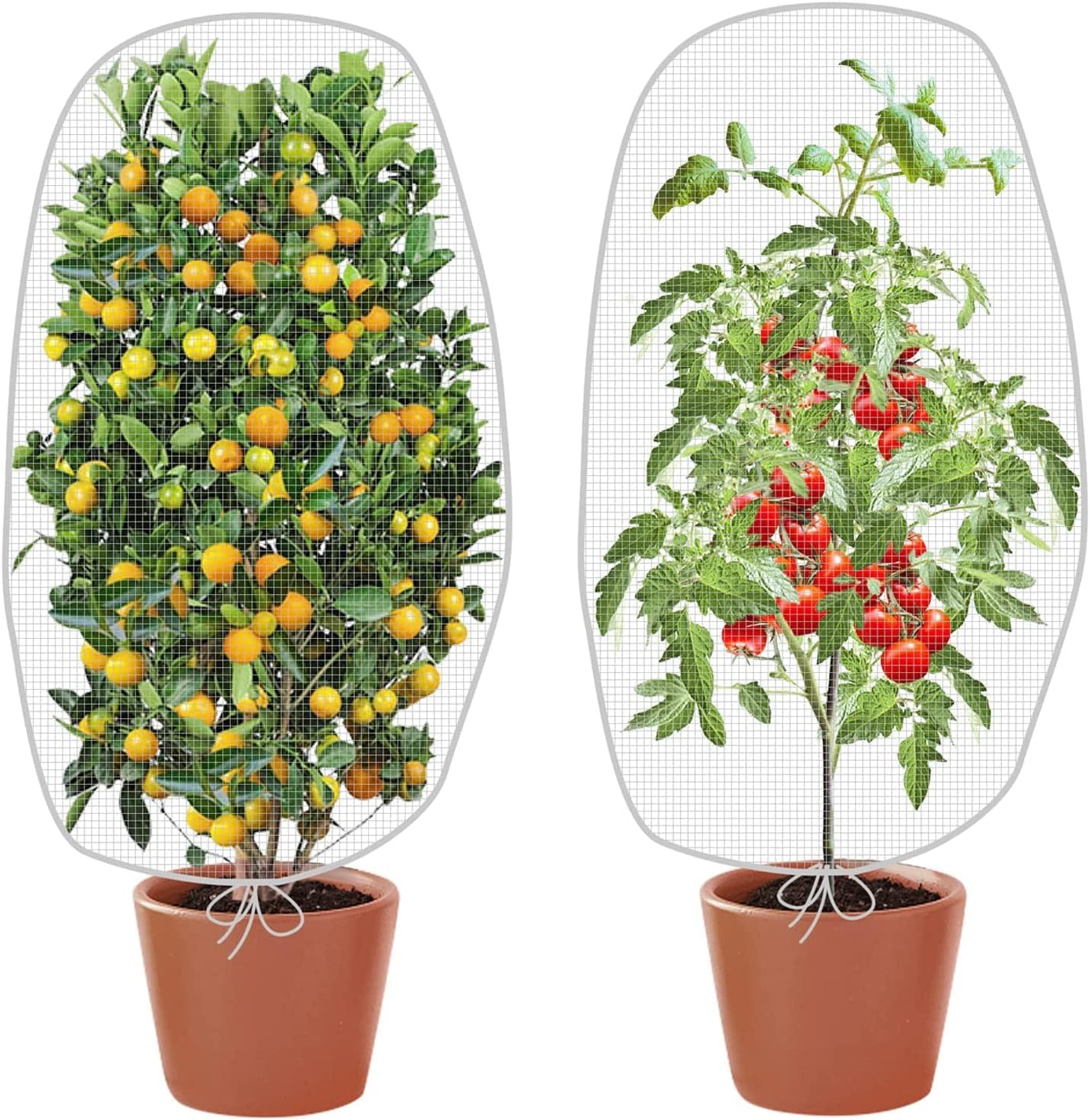 Fruit Tree Netting to Protect Fruit from Birds Netting for