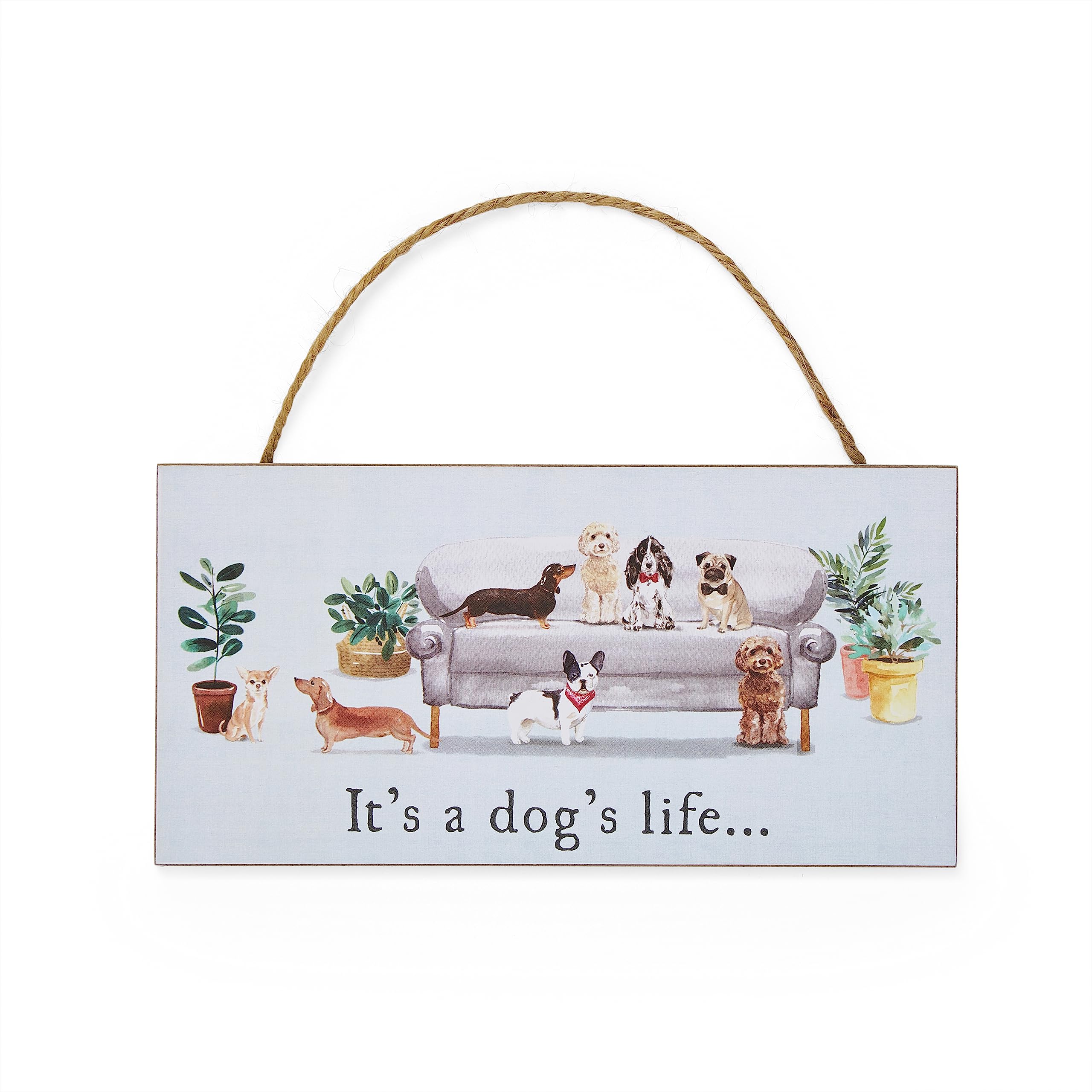 Cooksmart British Designed Motivational Quotes Plaque | Motivational Message Plaque For Home or Office | Great Friendship Gifts For Birthdays - Dog's Life