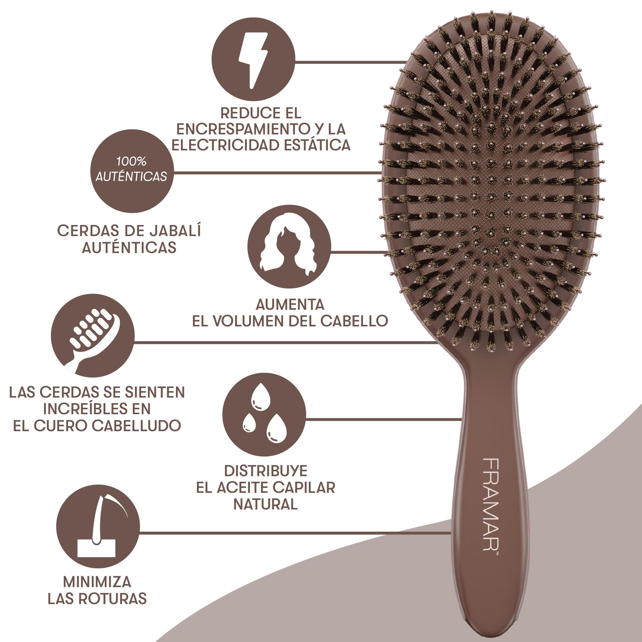 FRAMAR Cepillo Cerdas Jabali Pelo Fino - Cepillo Cerdas Naturales, Cepillo de Pelo Antirotura y Antitirones para Cabello Fino, Ideal Para Añadir Brillo o Volumen, Boar Hair Brush - Chocolate